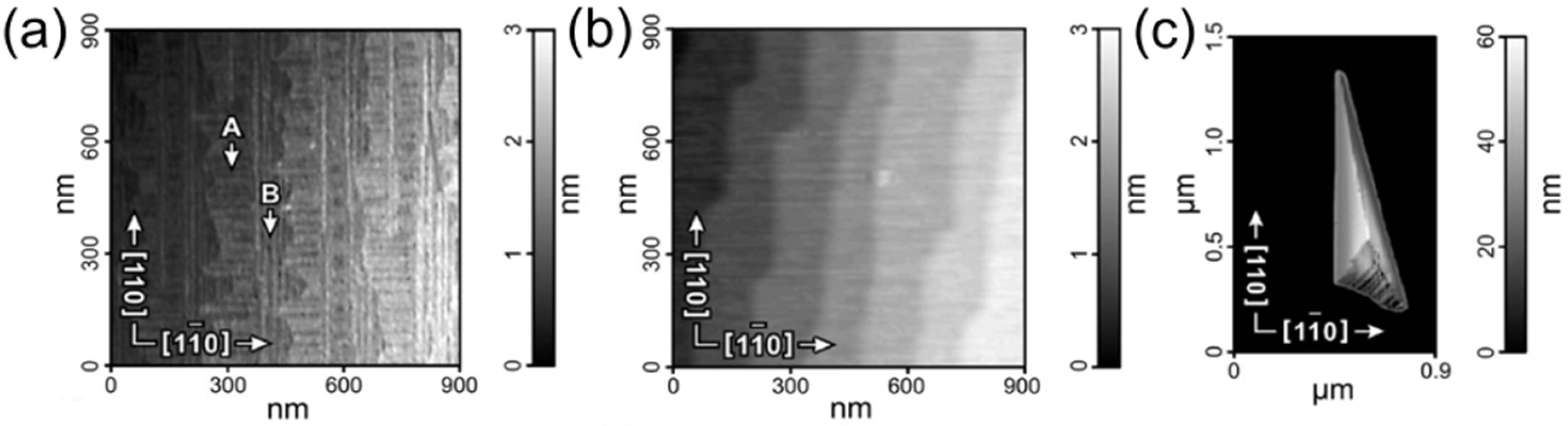 Surfaces 08 00022 g005