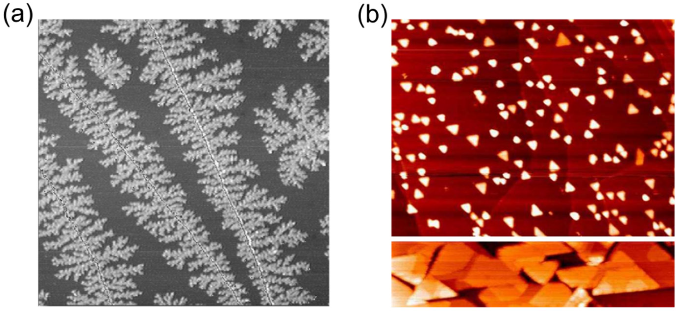 Surfaces 08 00022 g006