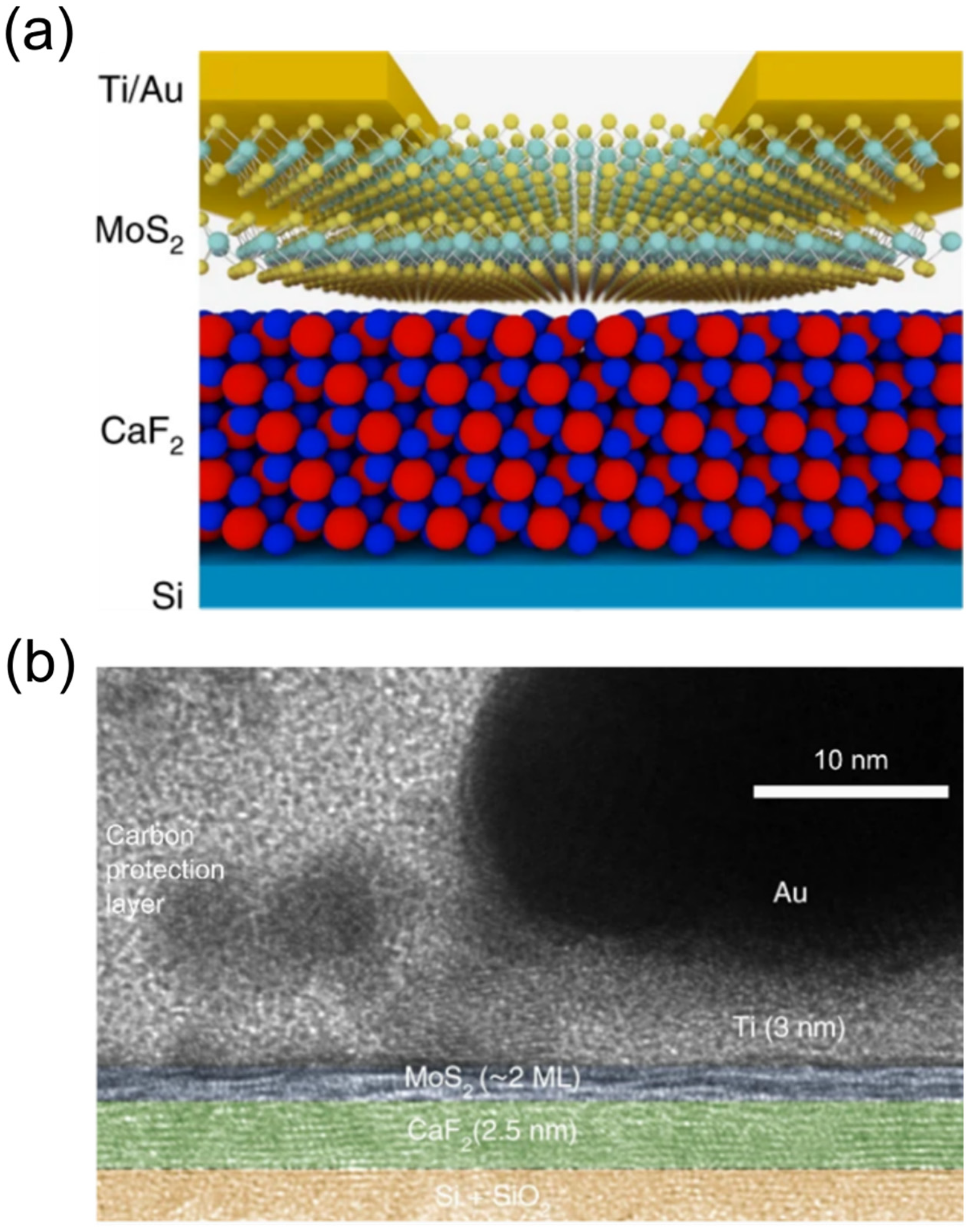 Surfaces 08 00022 g009