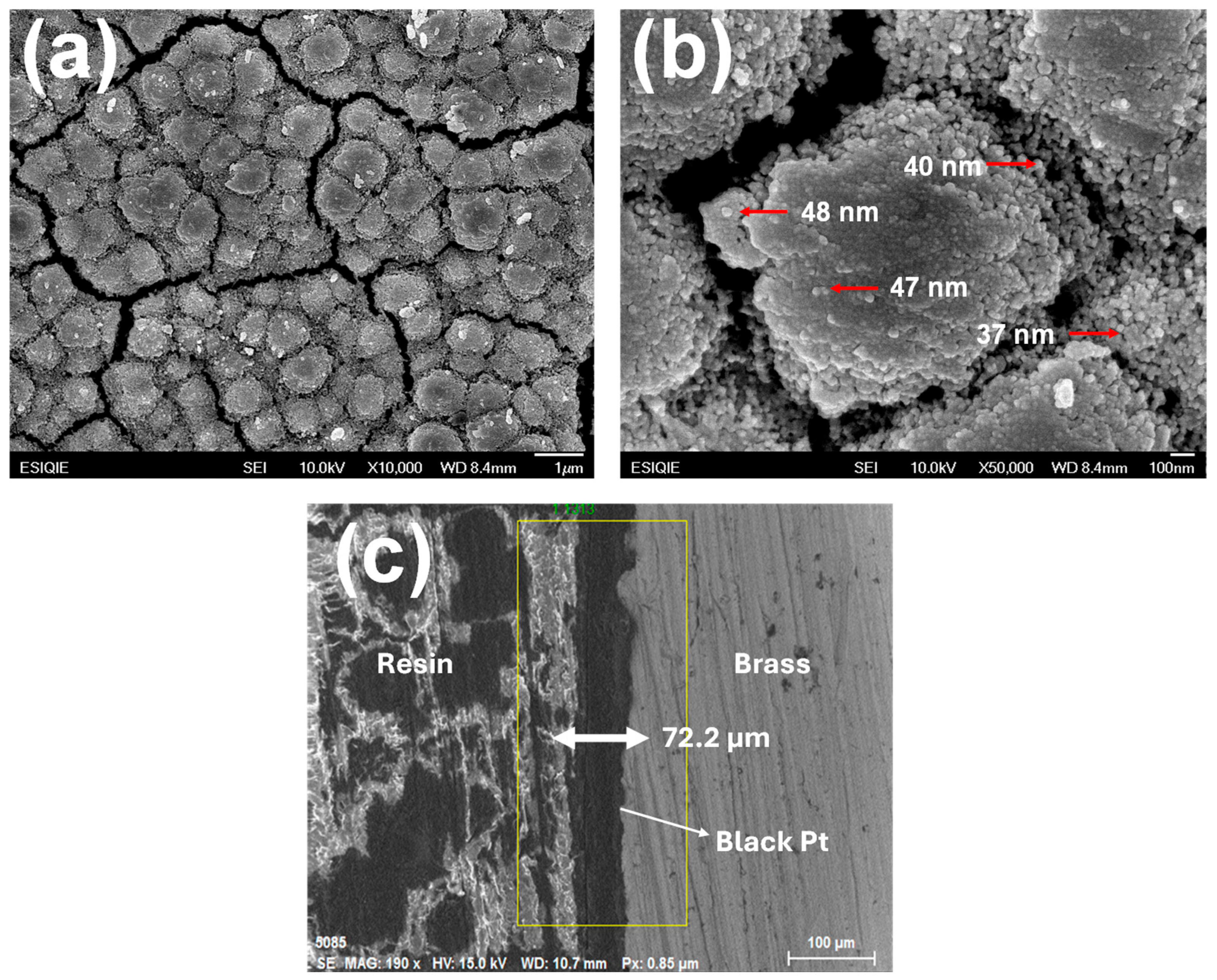 Surfaces 08 00025 g008