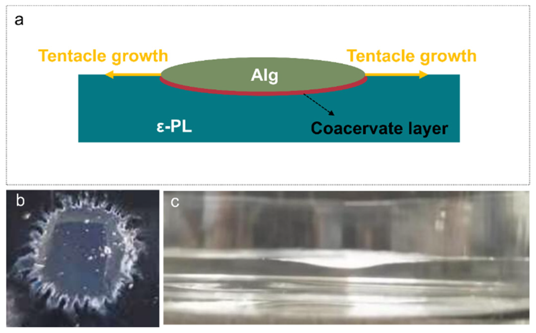 Surfaces 08 00028 g002