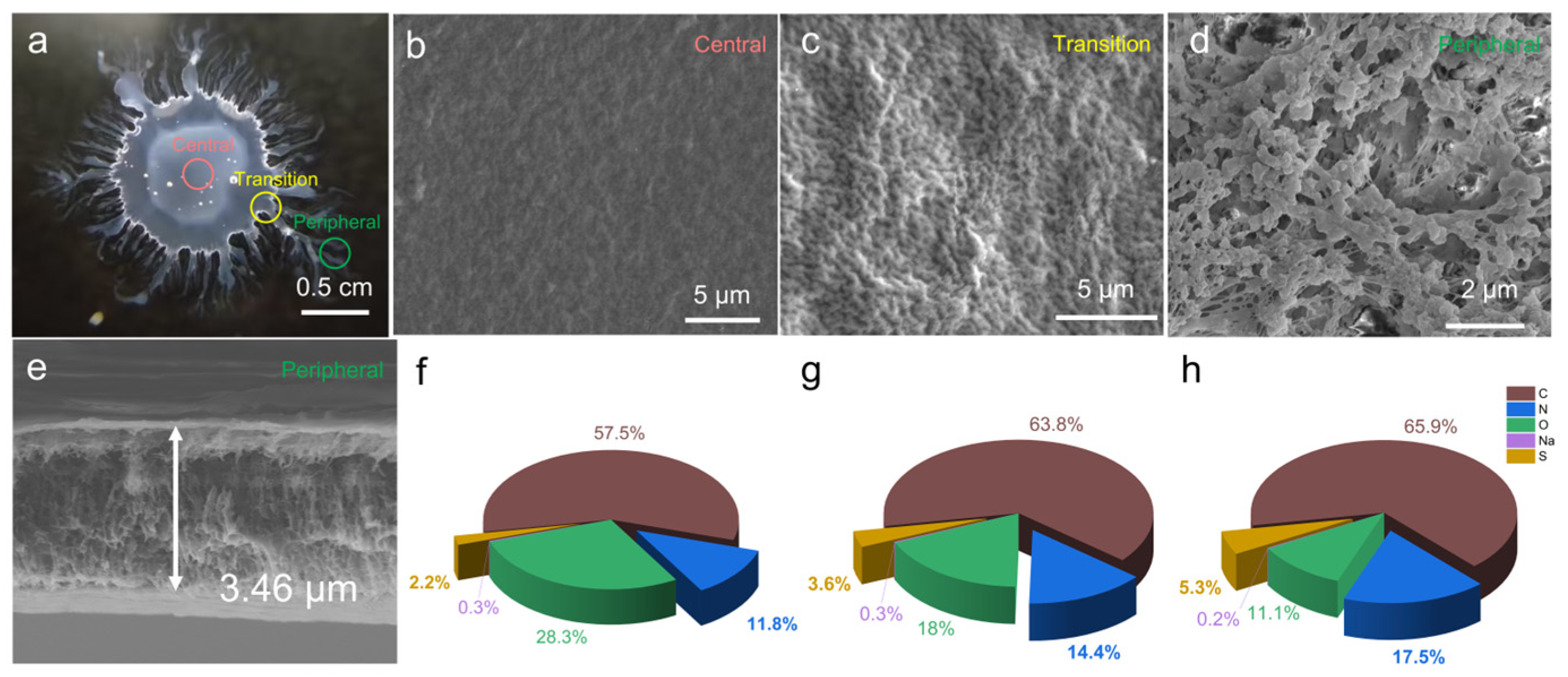 Surfaces 08 00028 g005