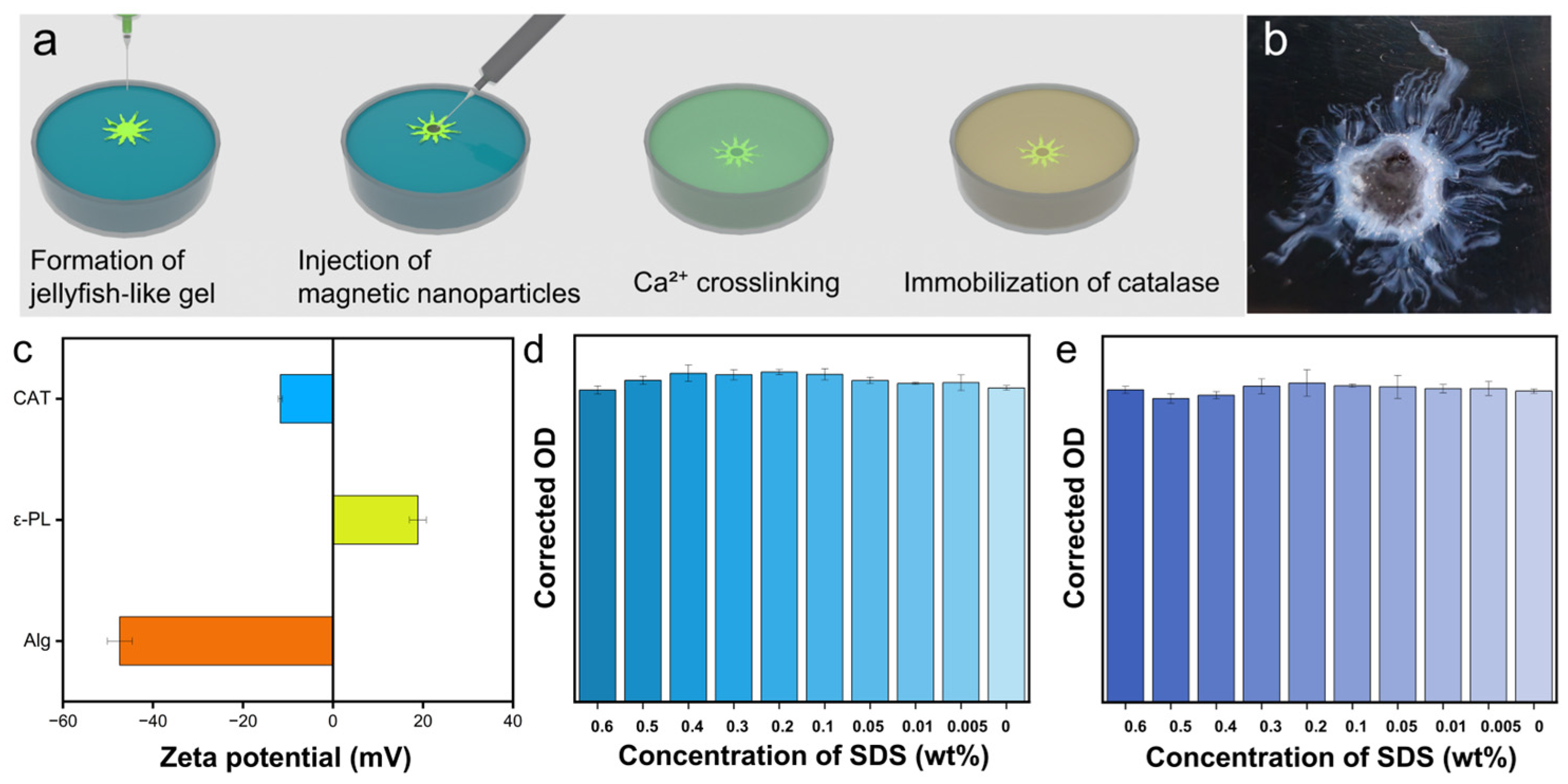 Surfaces 08 00028 g007