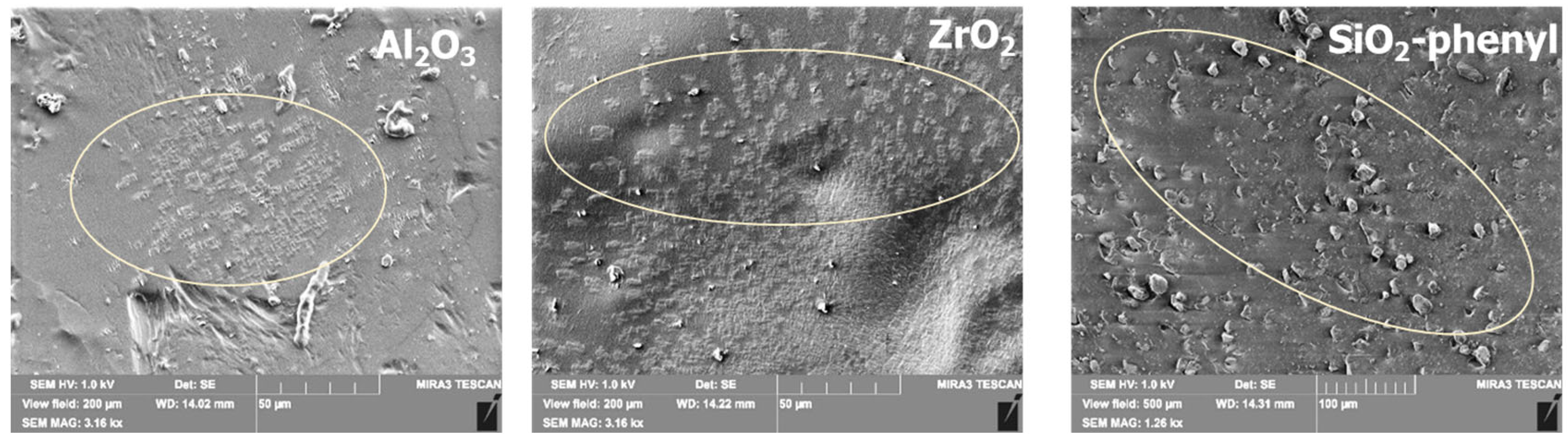 Surfaces 08 00033 g002