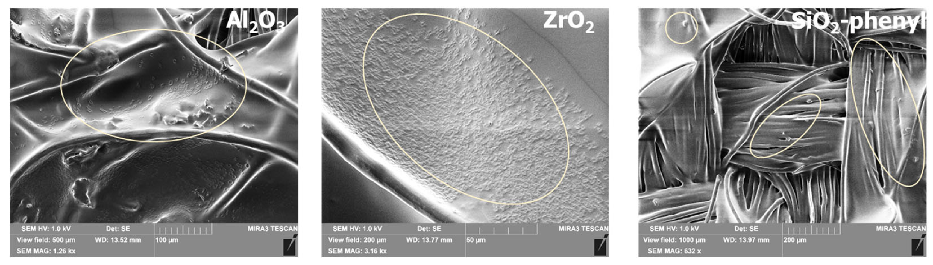 Surfaces 08 00033 g007