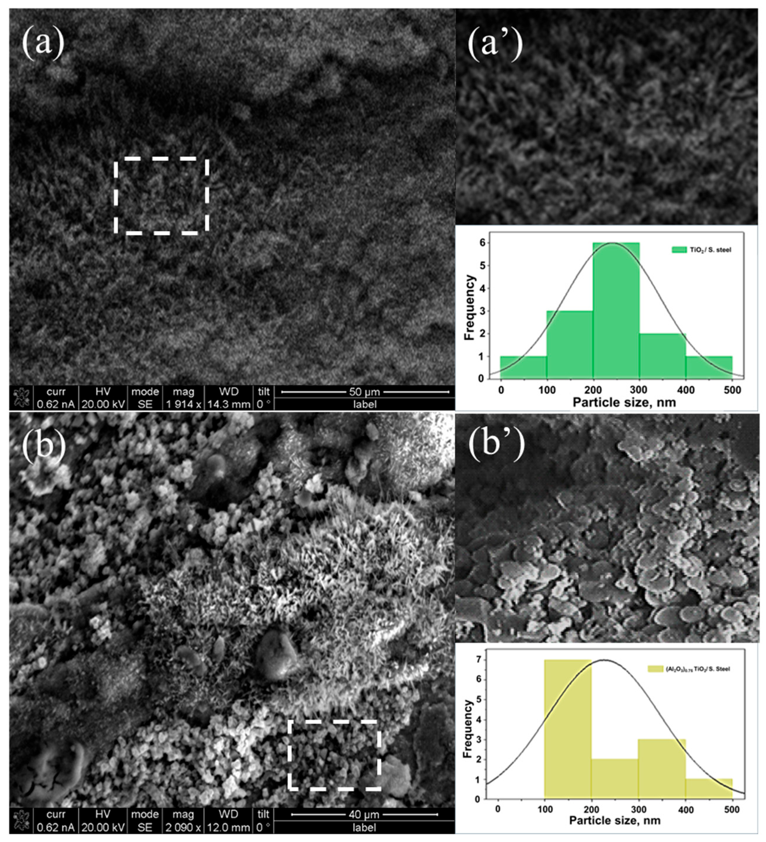 Surfaces 08 00034 g005