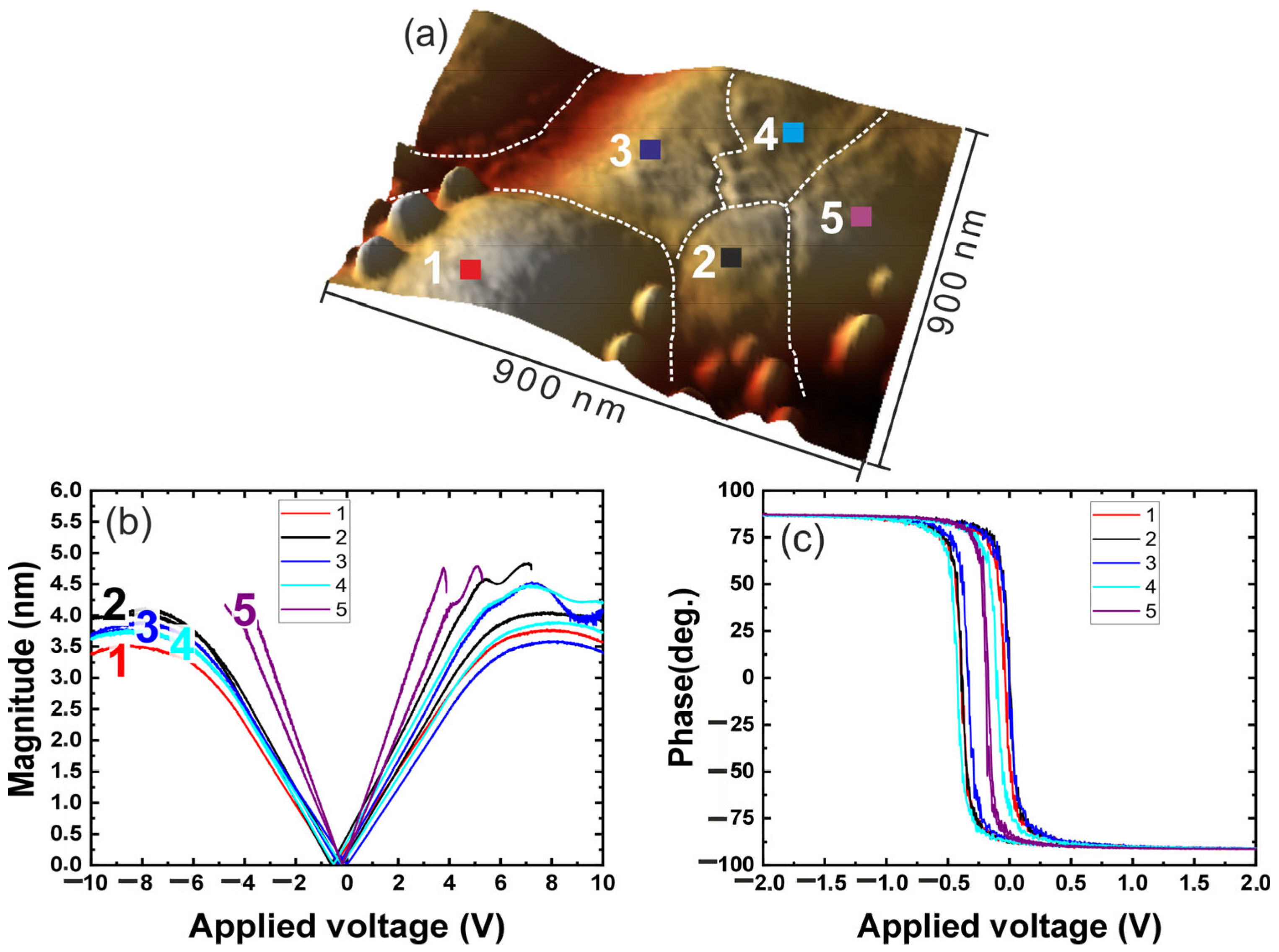 Surfaces 08 00037 g004