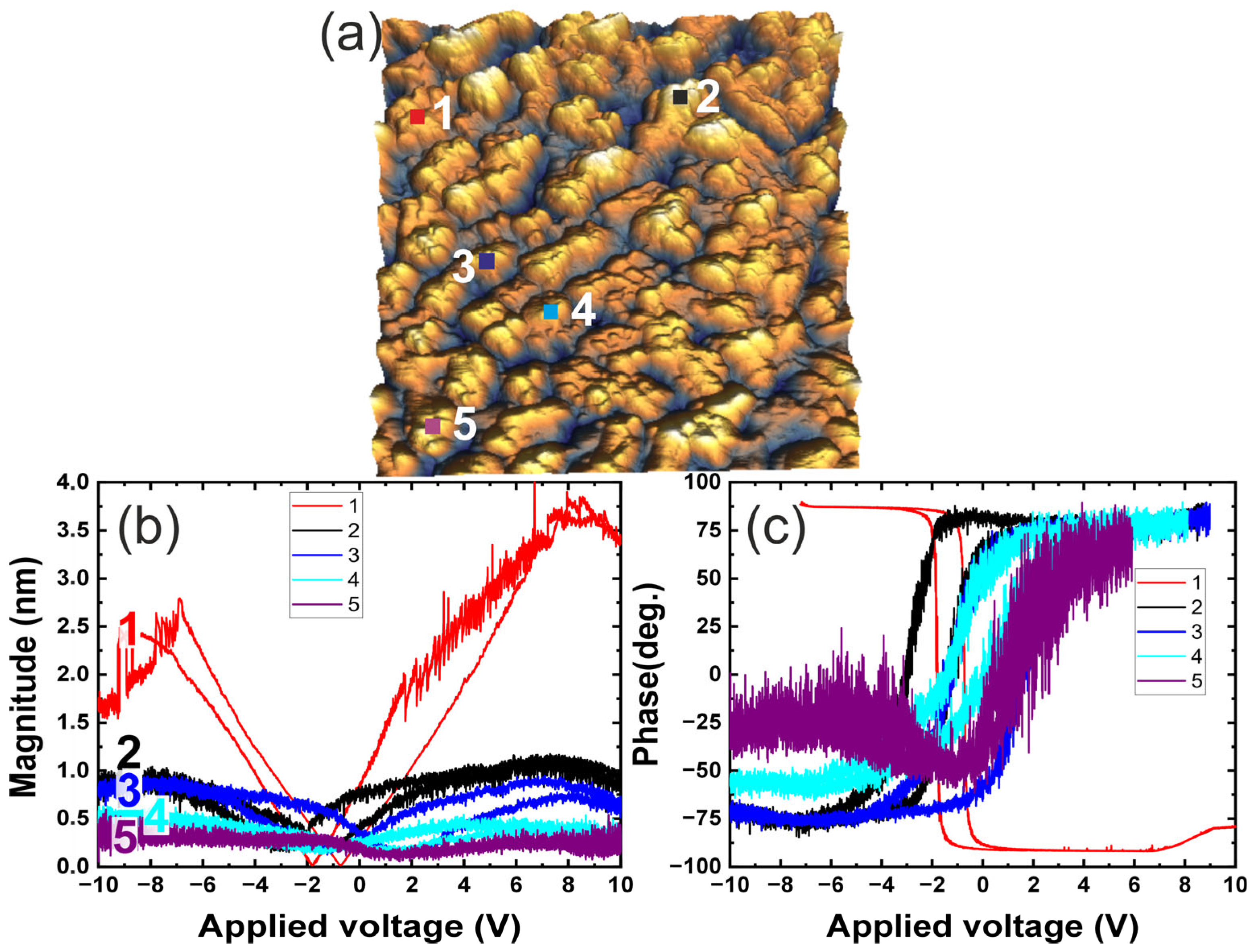 Surfaces 08 00037 g005