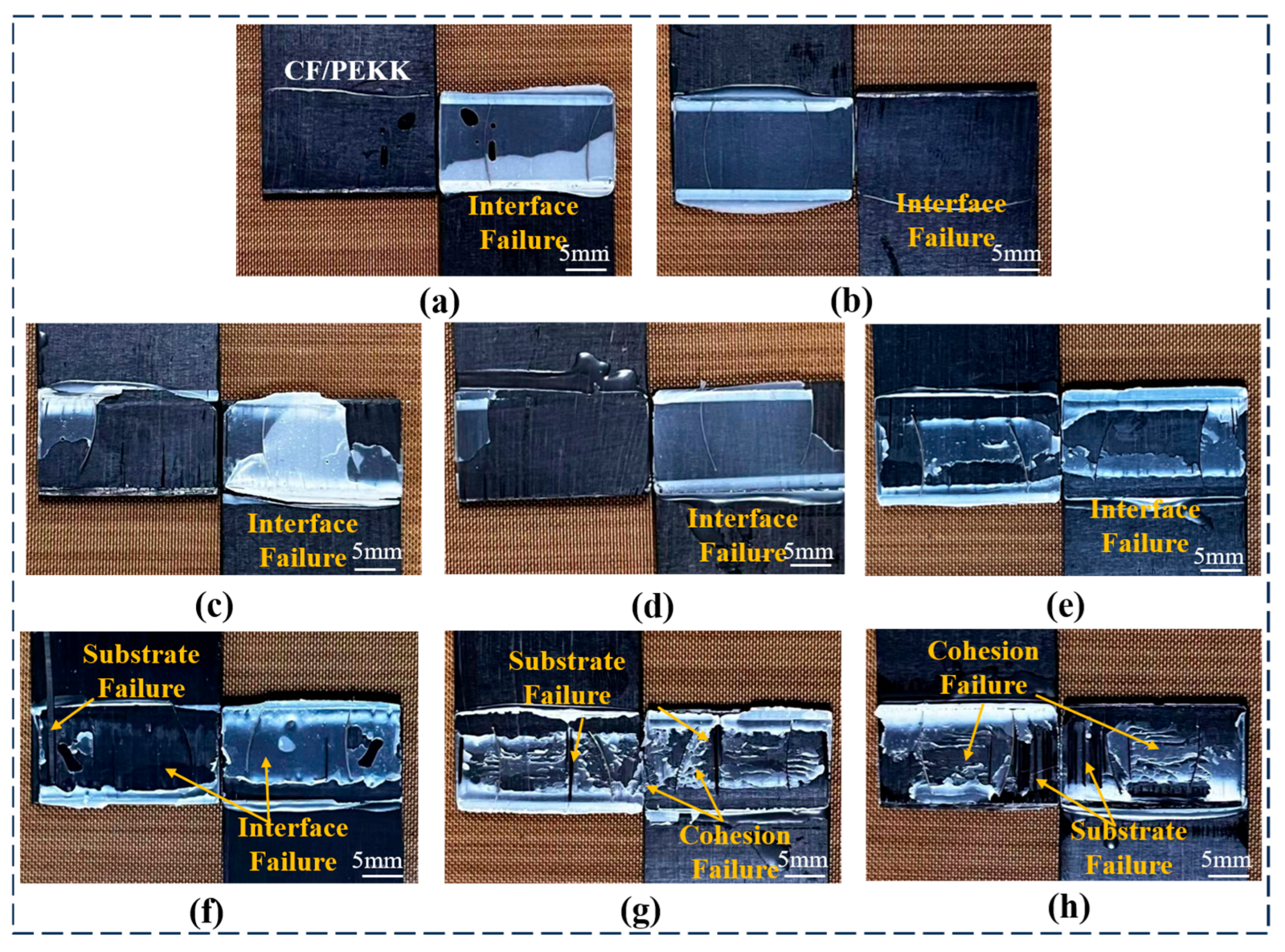 Surfaces 08 00041 g005