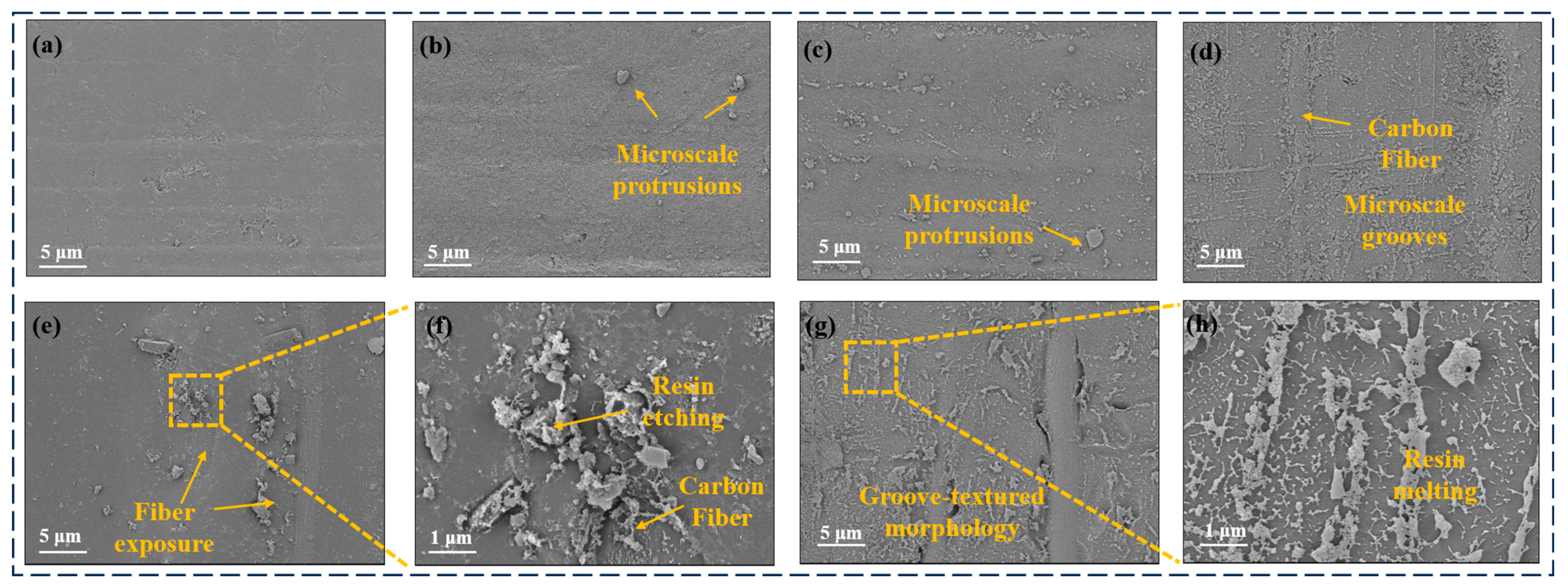 Surfaces 08 00041 g008