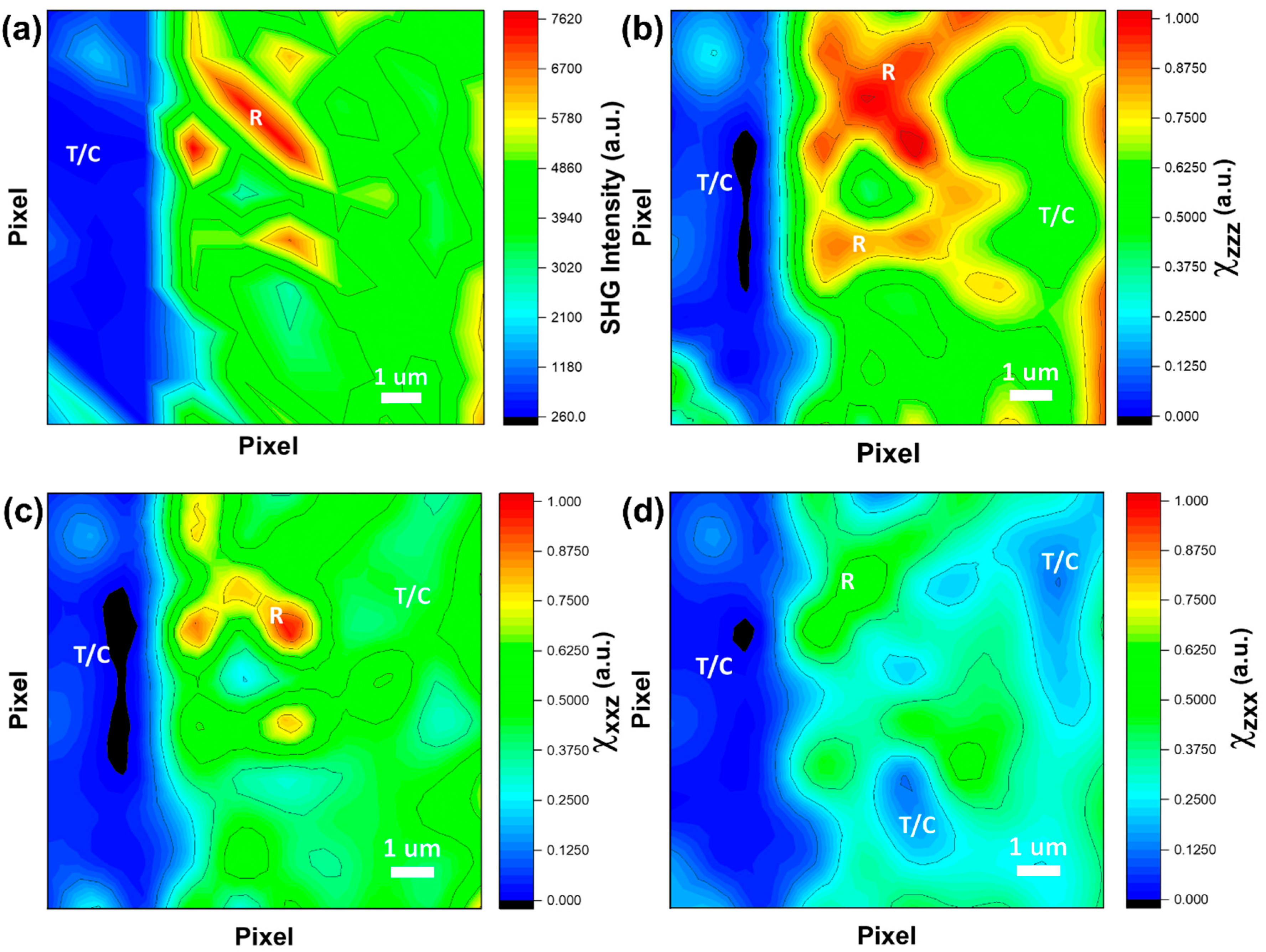 Surfaces 08 00047 g004