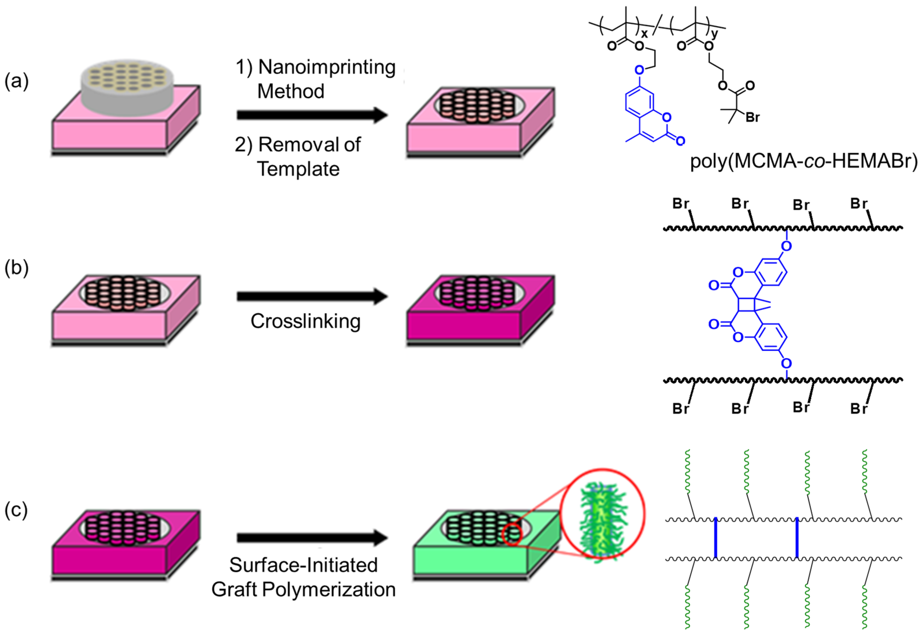 Surfaces 08 00048 g001