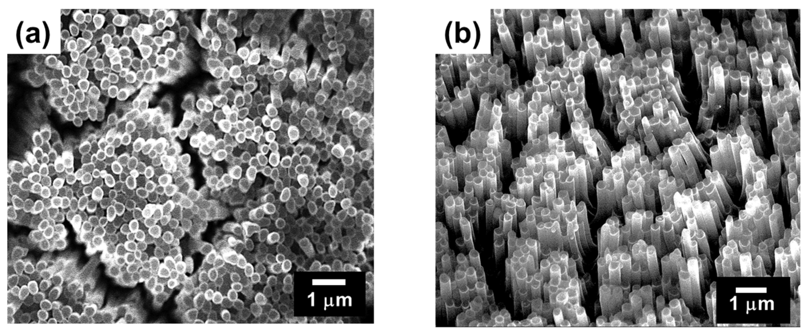 Surfaces 08 00048 g003