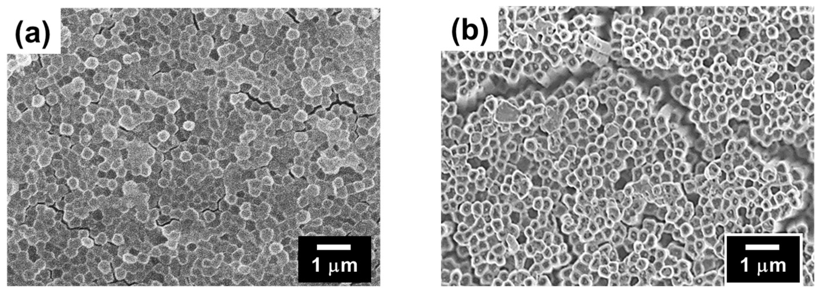 Surfaces 08 00048 g006