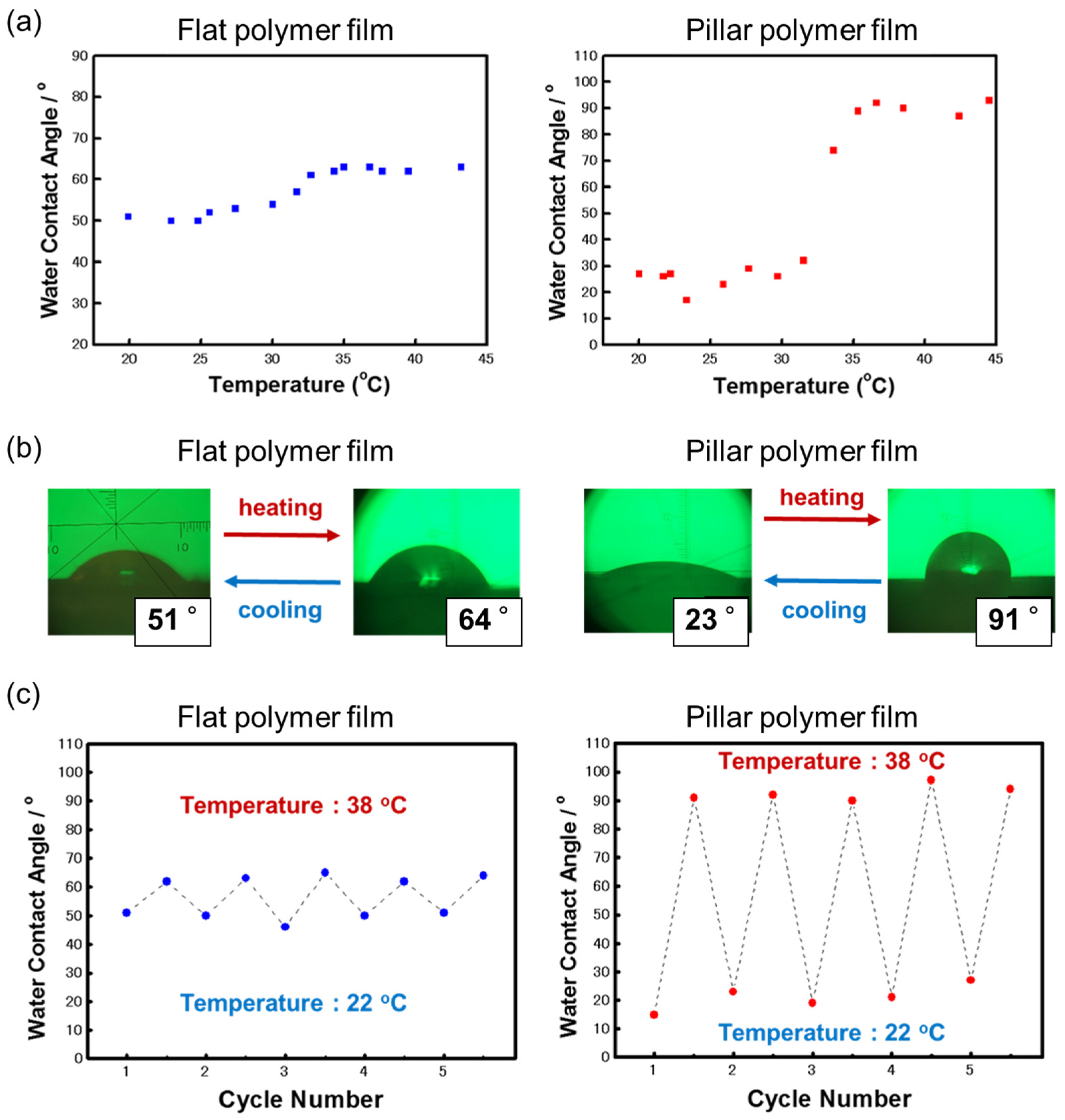 Surfaces 08 00048 g009