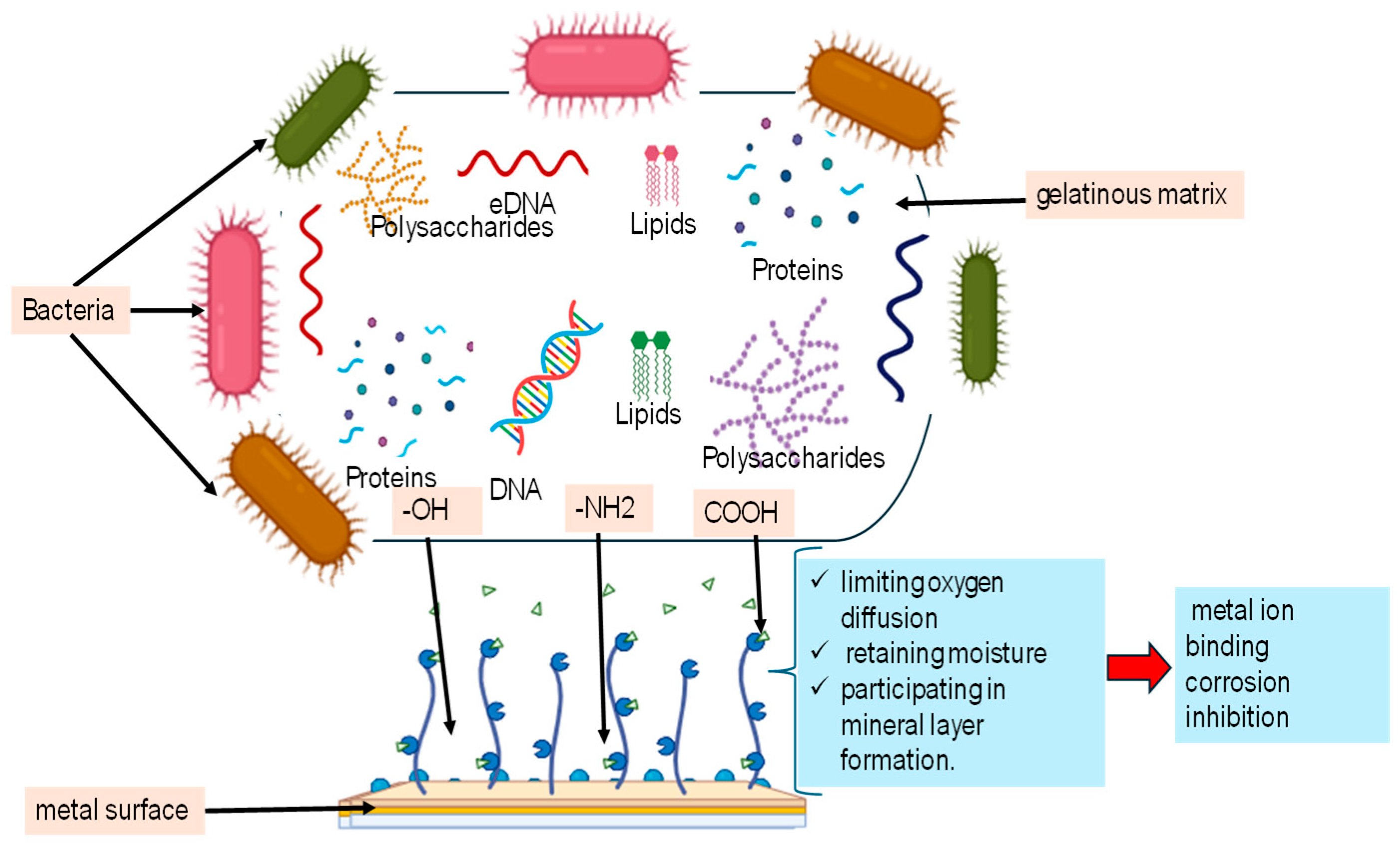 Surfaces 08 00049 g001