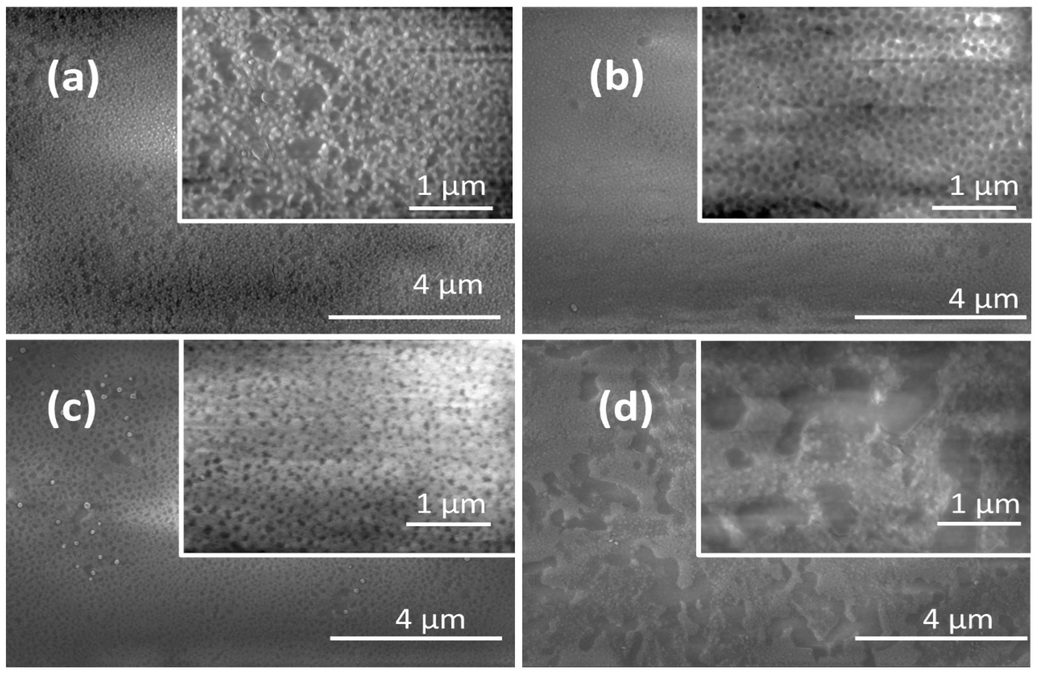 Surfaces 08 00051 g004