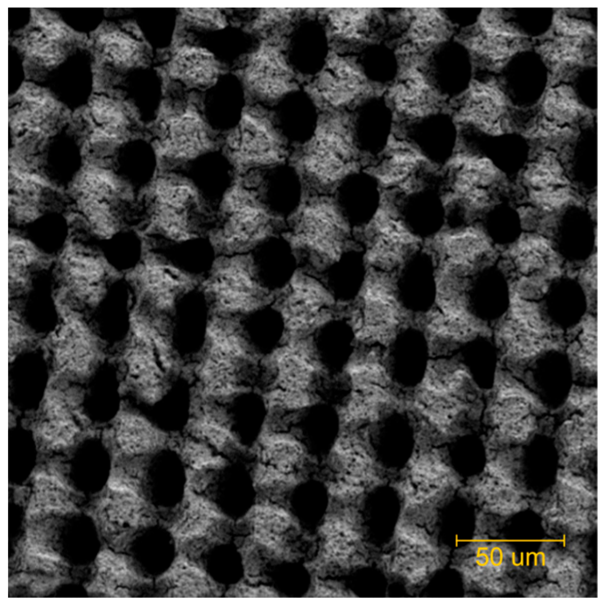 Surfaces 08 00054 g006