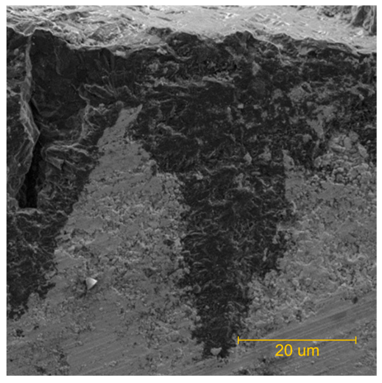 Surfaces 08 00054 g007