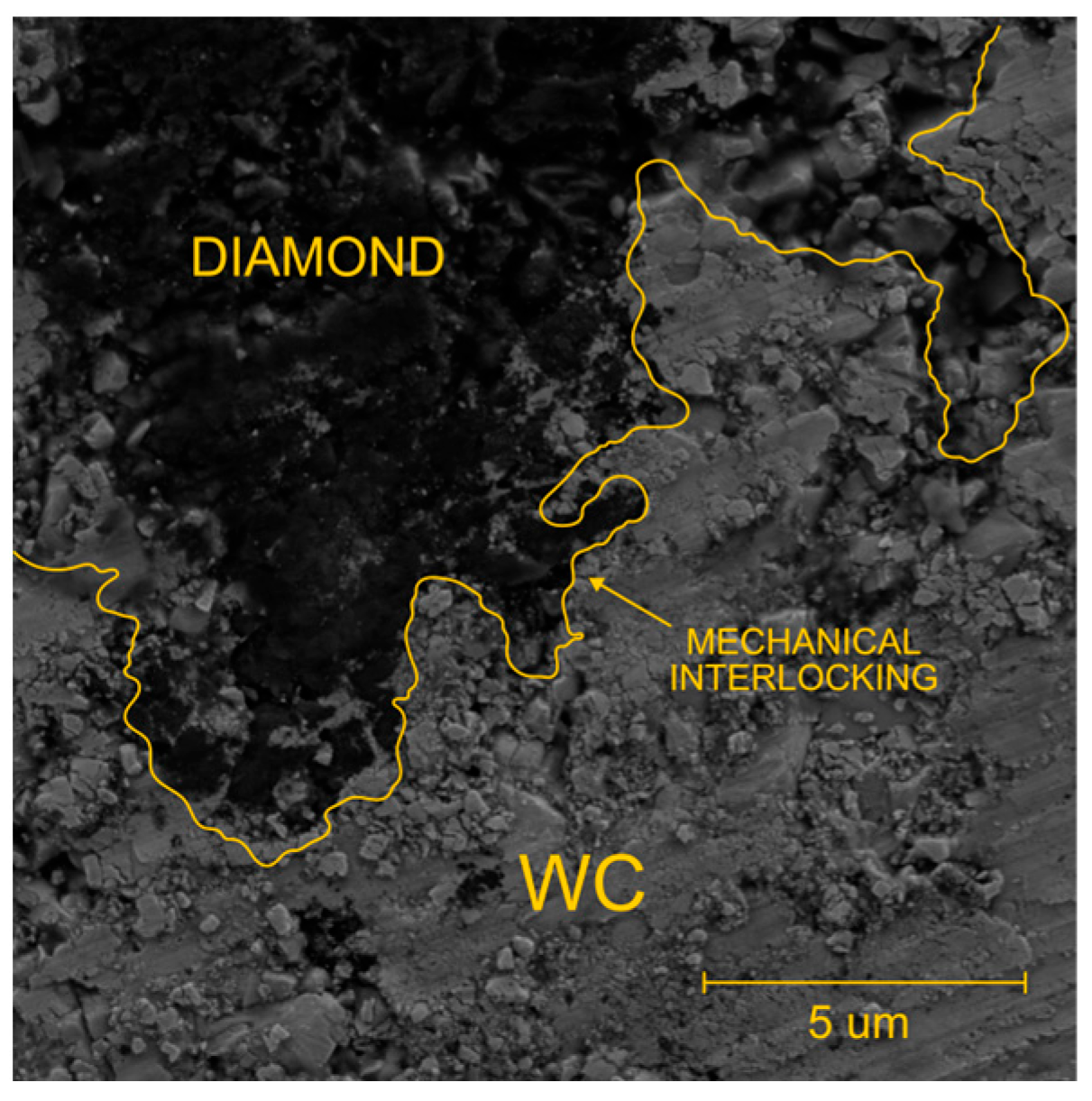 Surfaces 08 00054 g008