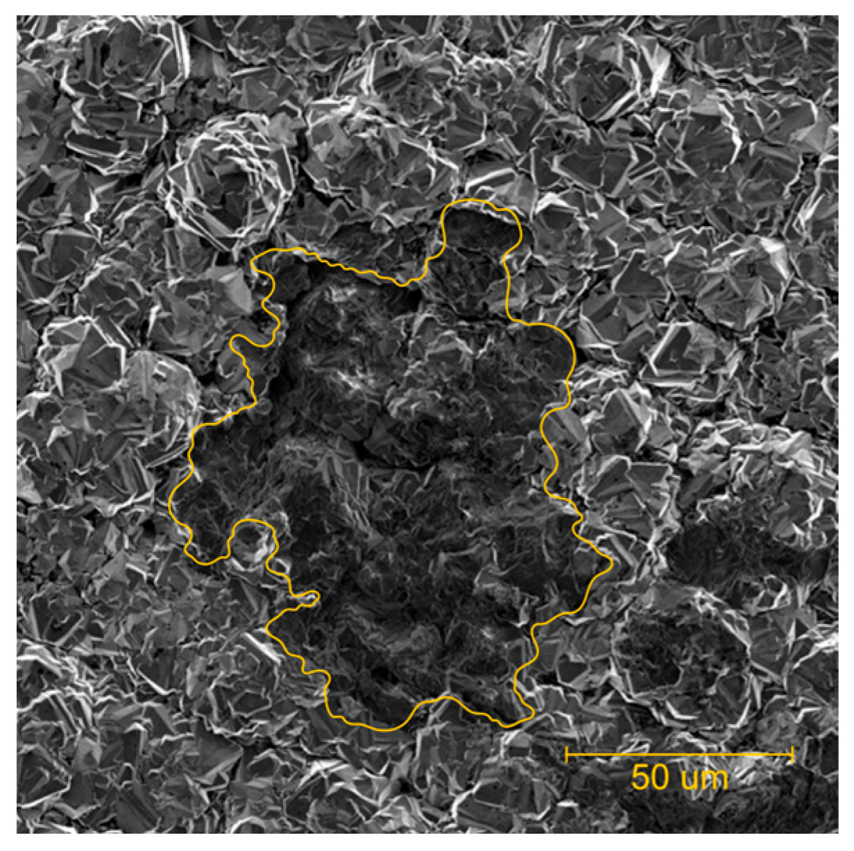 Surfaces 08 00054 g011