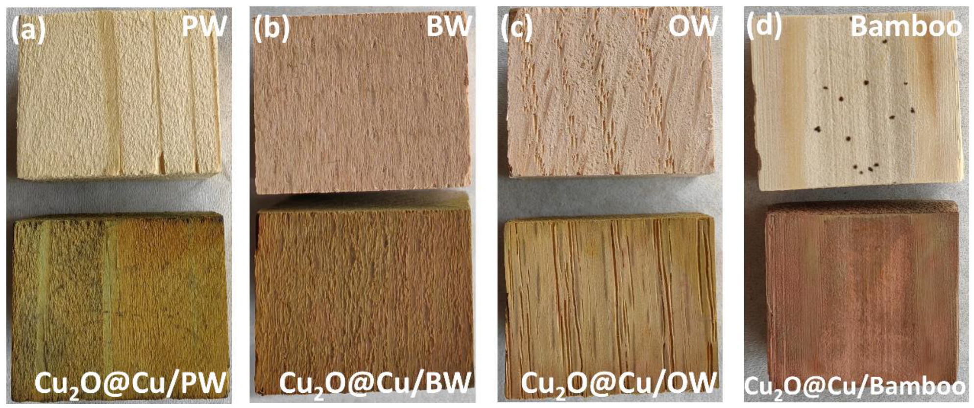 Surfaces 08 00066 g002