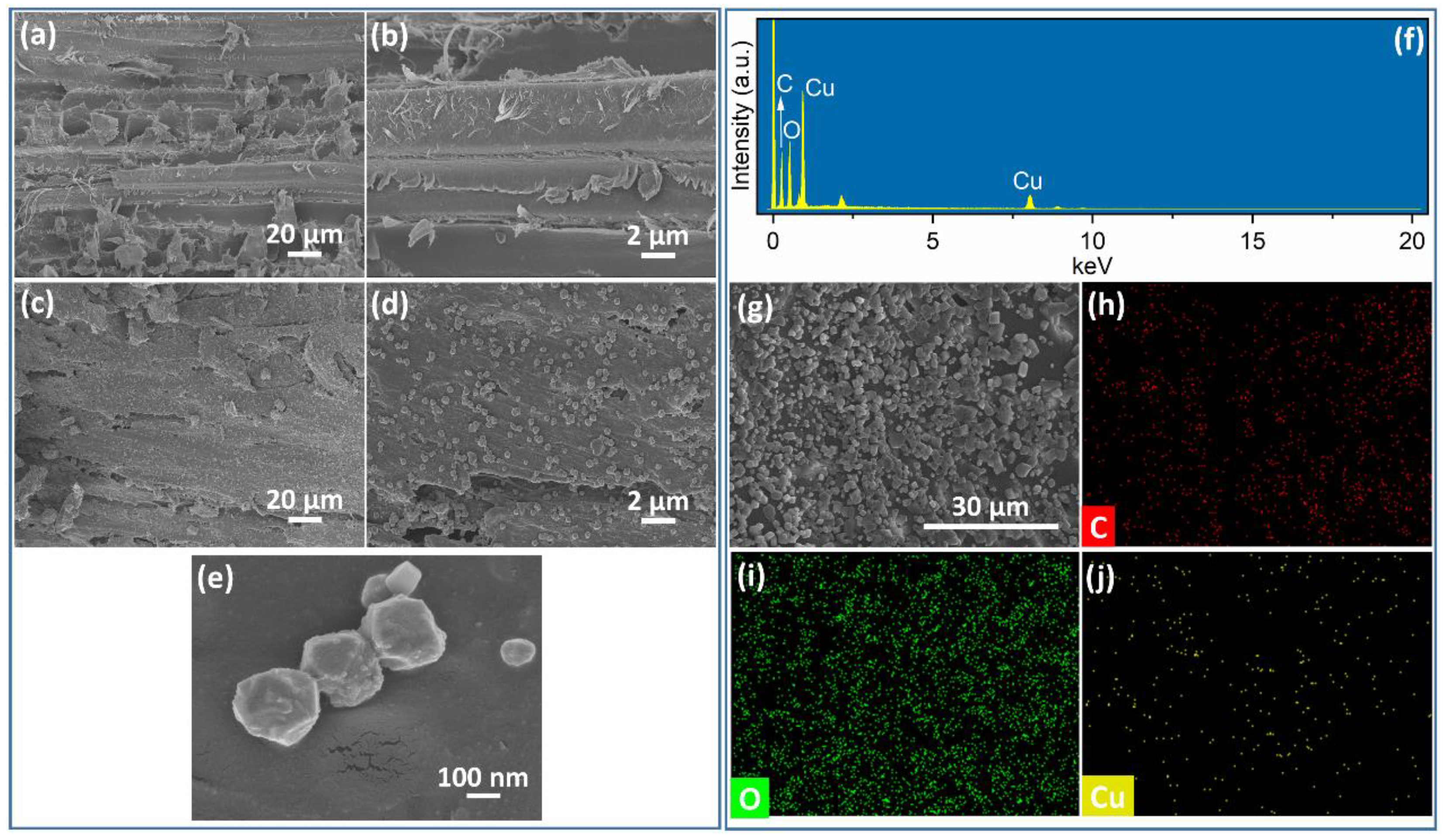 Surfaces 08 00066 g006