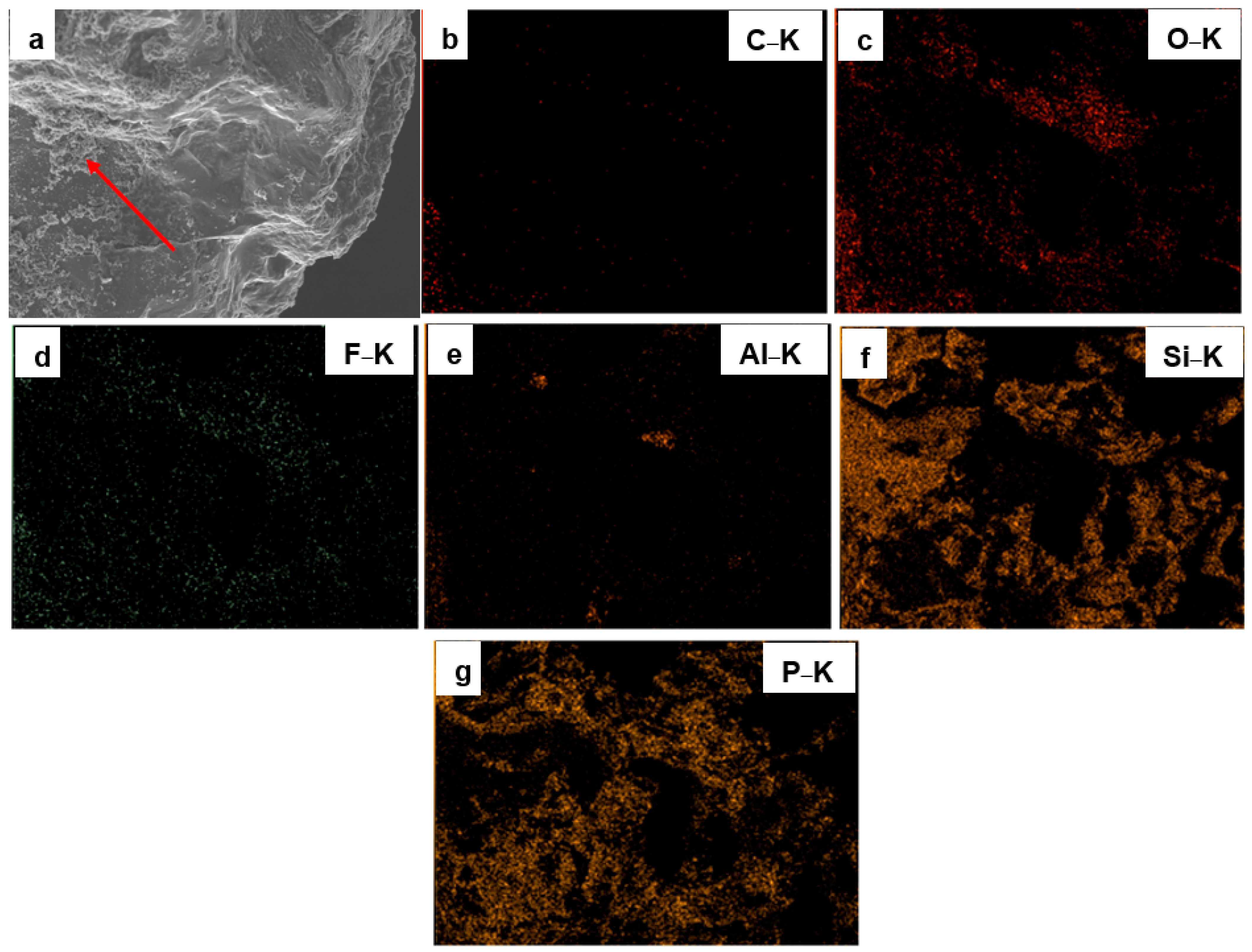 Surfaces 08 00067 g003