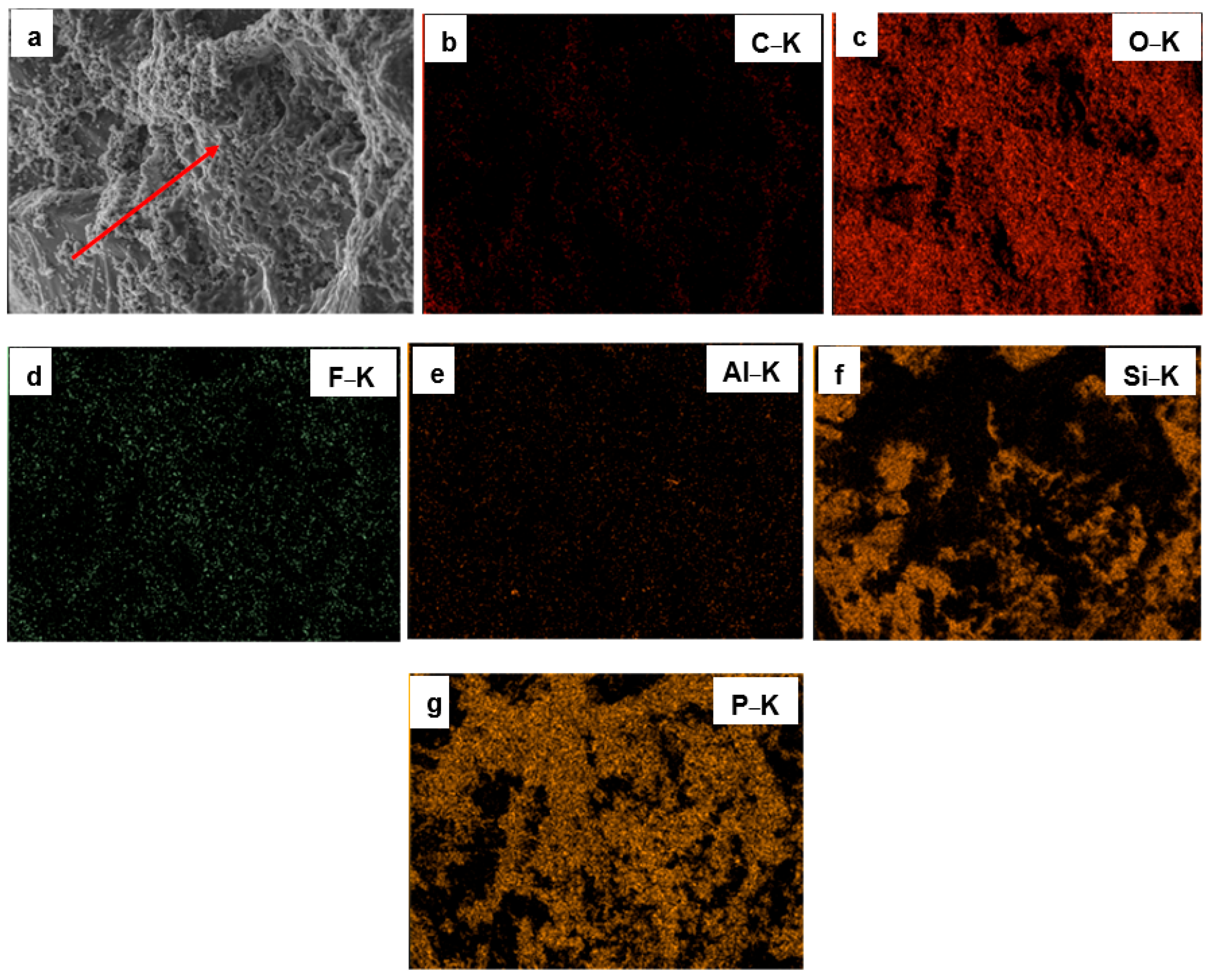 Surfaces 08 00067 g004