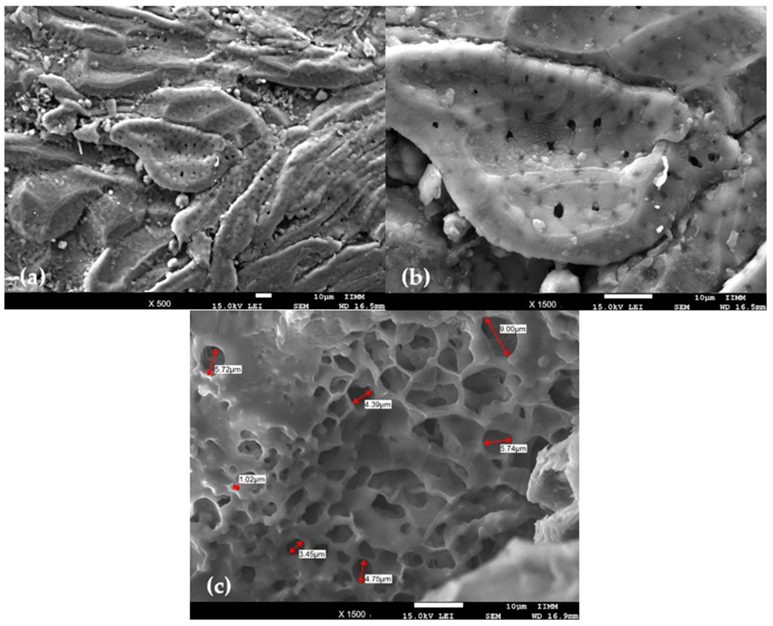 Surfaces 08 00070 g002