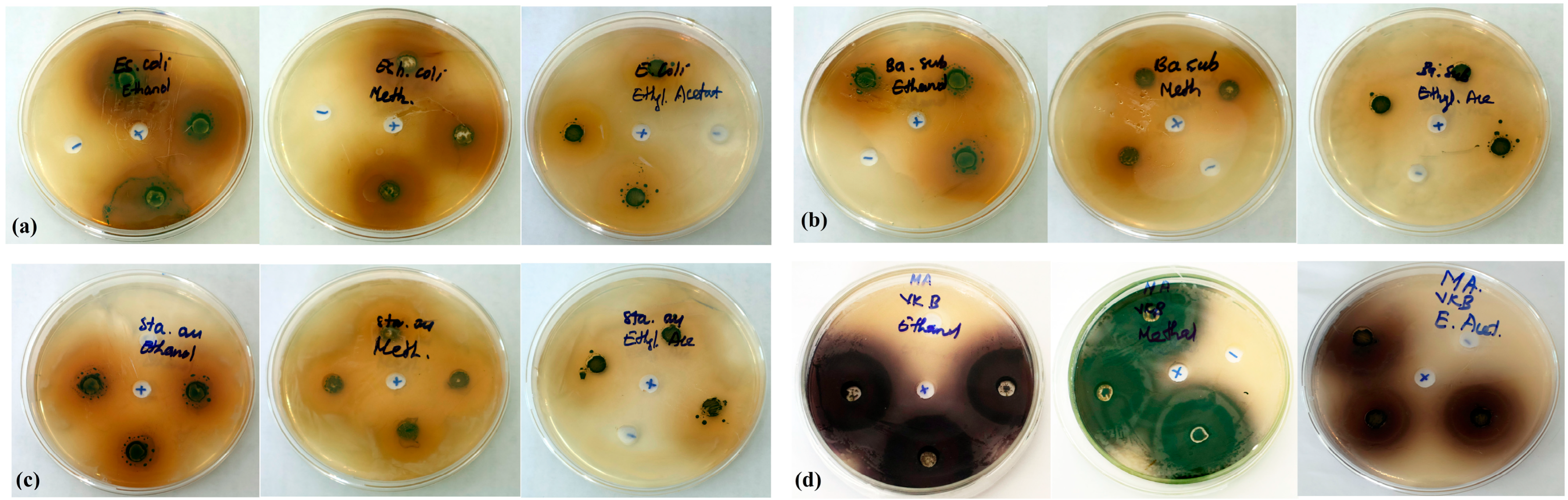 Surfaces 08 00072 g002