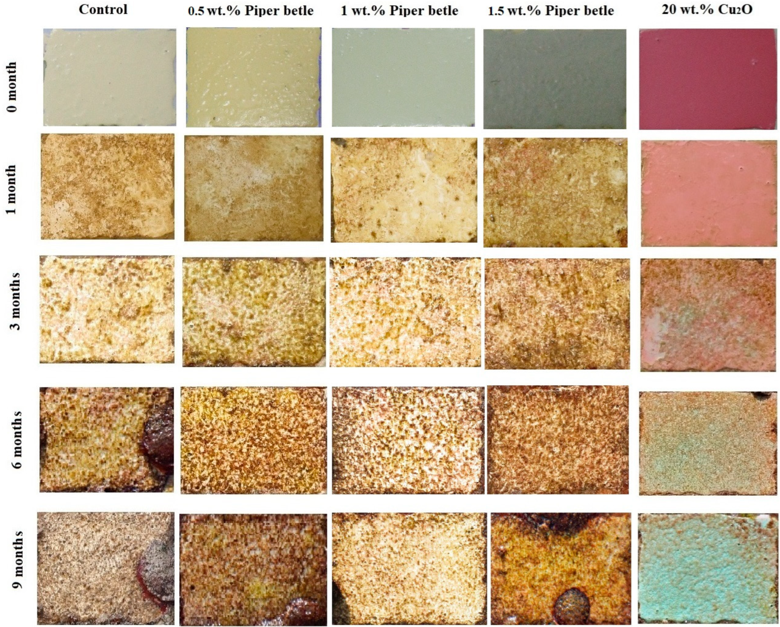 Surfaces 08 00072 g005