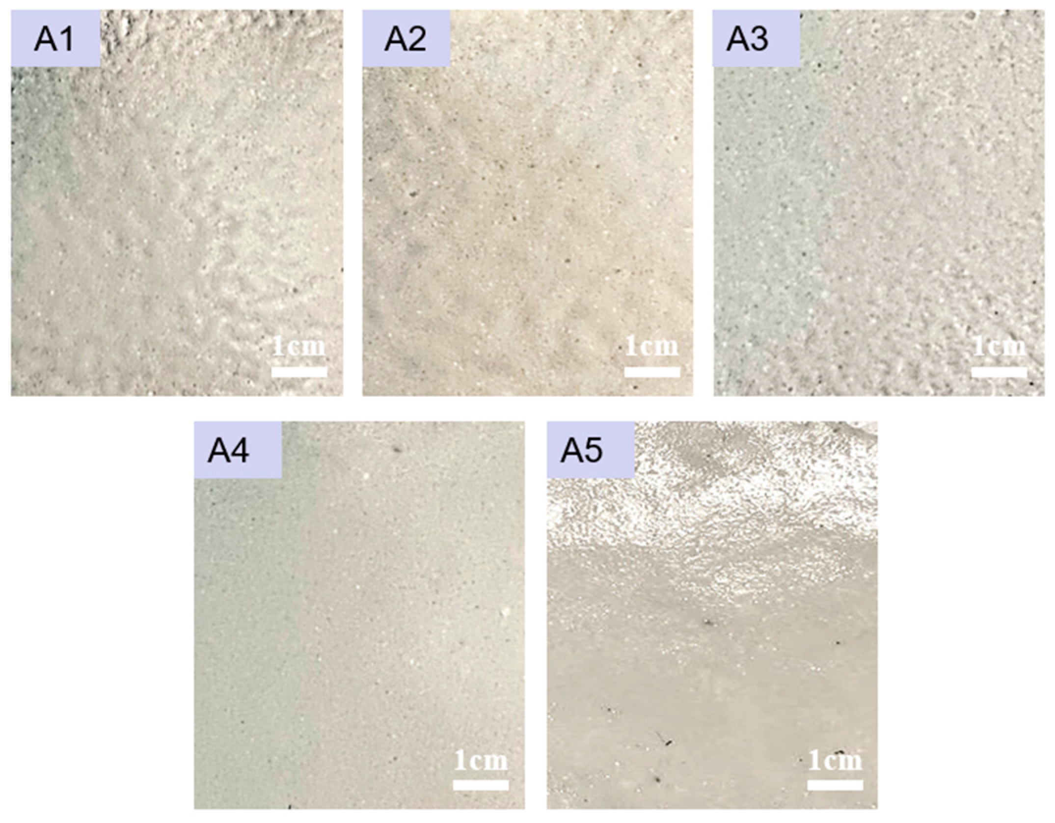 Surfaces 08 00080 g007