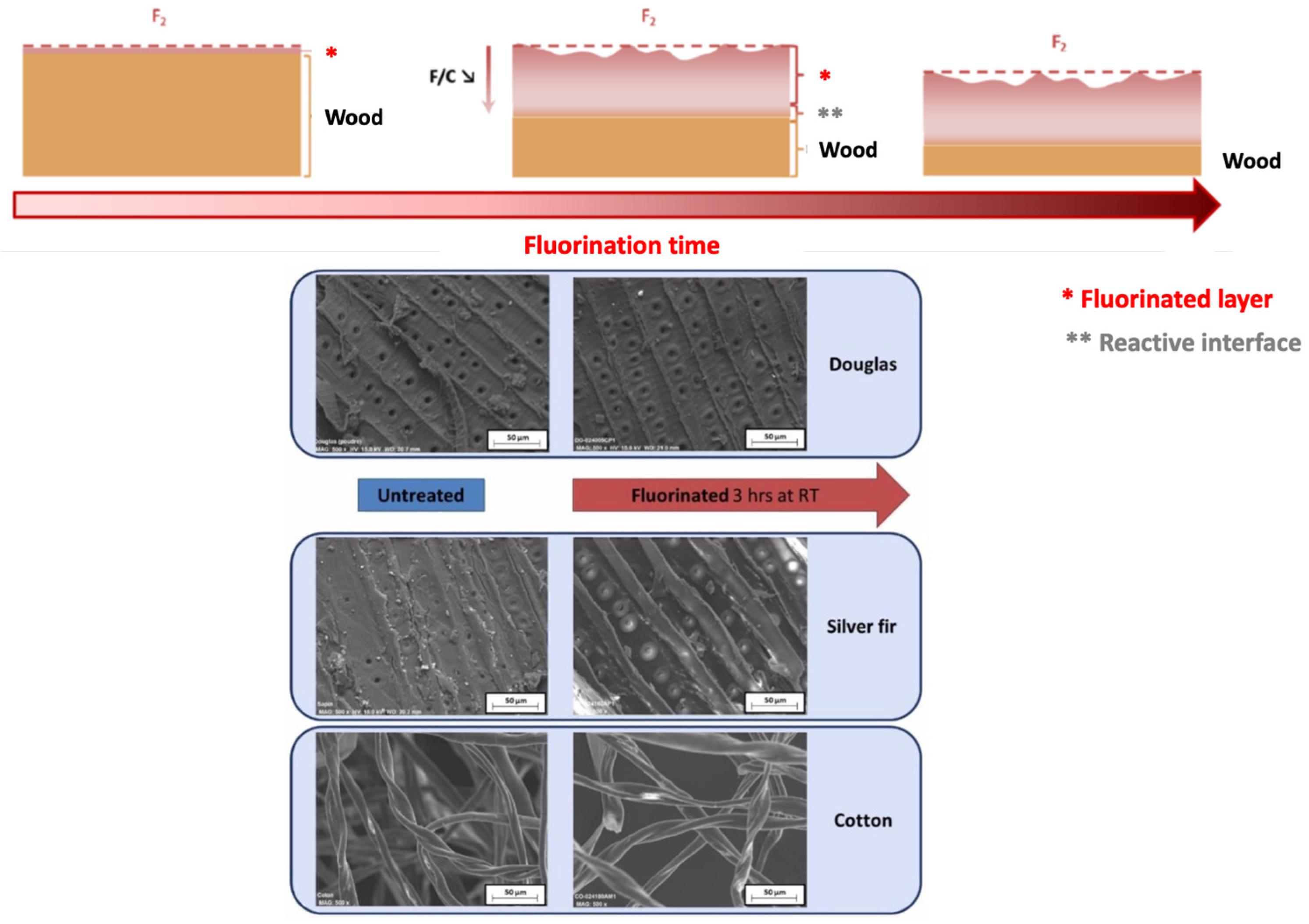 Surfaces 09 00003 g007