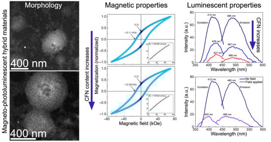 Structural, morphological and chemical characterization of the CFN sample: (a) HAADF-STEM image showing the morphology of the nanoparticles (inset: high magnification image); (b) corresponding particle size distribution histogram with Gaussian fit (solid line); (c) high-resolution BF image resolving atomic planes; (d) indexed SAED pattern confirming the crystalline structure; (e) ATR-FTIR spectrum highlighting vibrational bands; (f) Fe2p core-level spectrum showing main and satellite (sat) peaks; and (g) Co2p core-level spectrum displaying main and satellite (sat) signals. Values indicated in panel (b) include uncertainties in parentheses, denoting the half-width of CI95 obtained from non-linear fitting. In panels (f,g), the filled circles represent the experimental data, whereas the solid lines correspond to the deconvolution of the spectra using Gaussian fits.