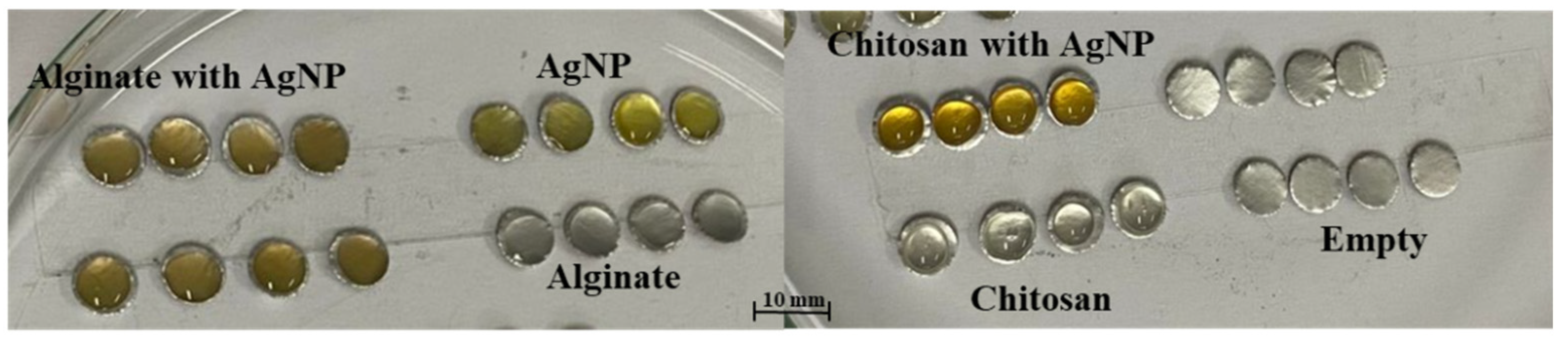 Surfaces 09 00025 g001