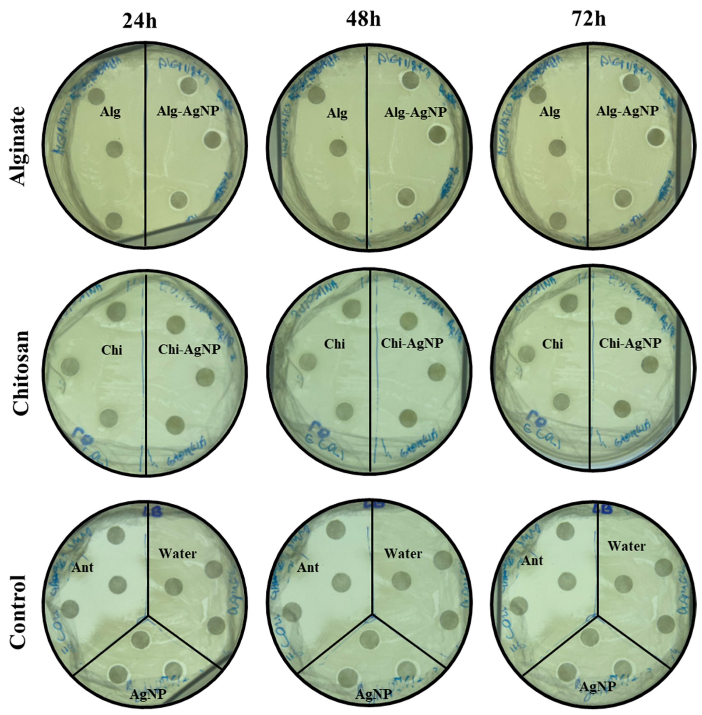 Surfaces 09 00025 g011