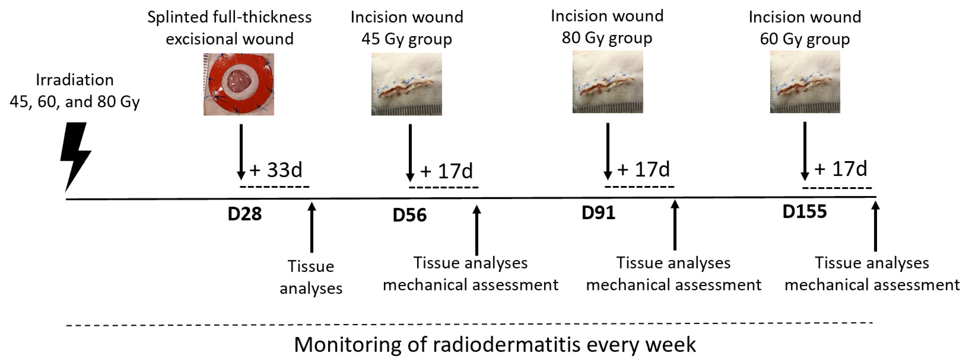 Surgeries 02 00004 g001