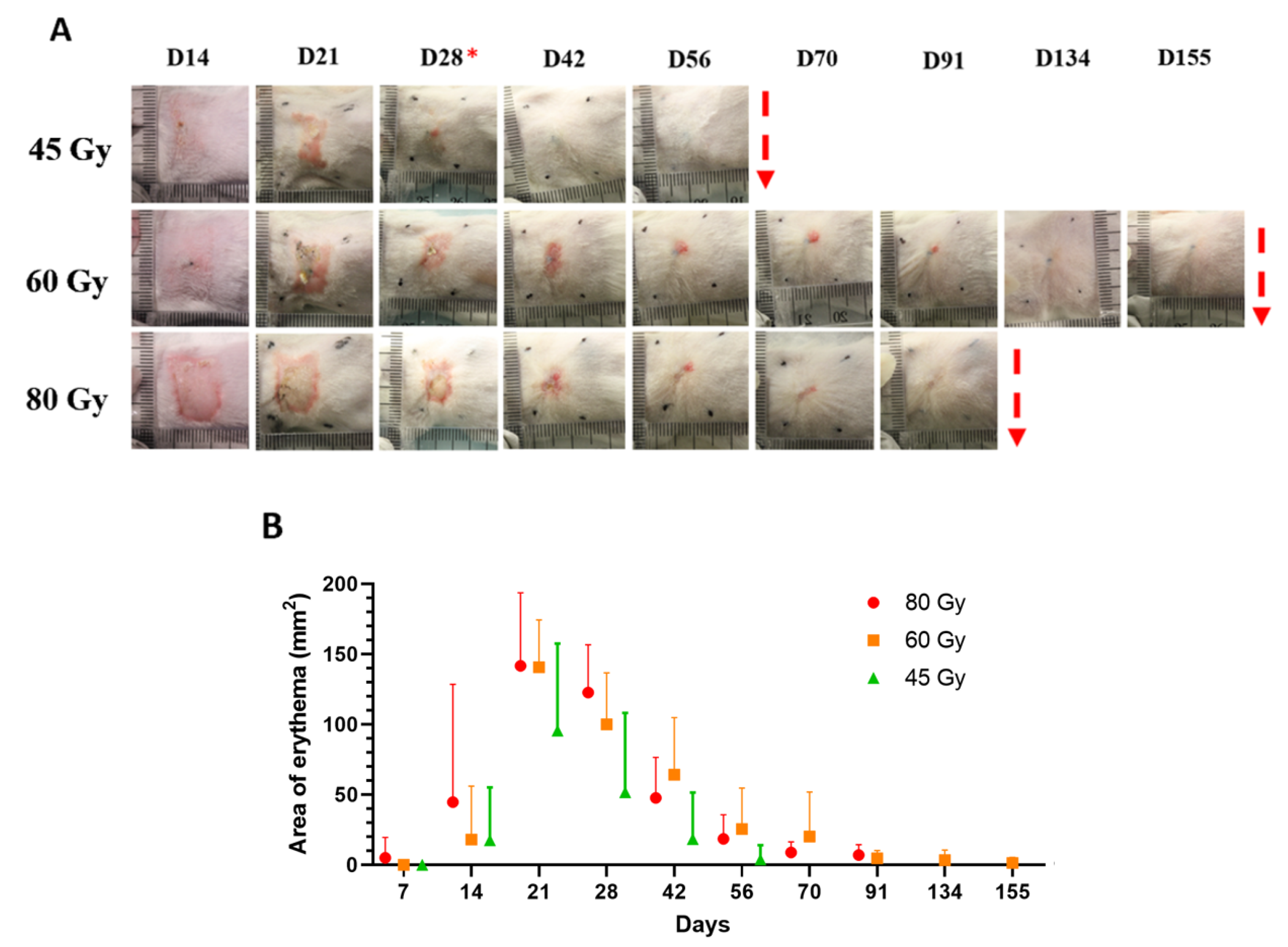 Surgeries 02 00004 g002