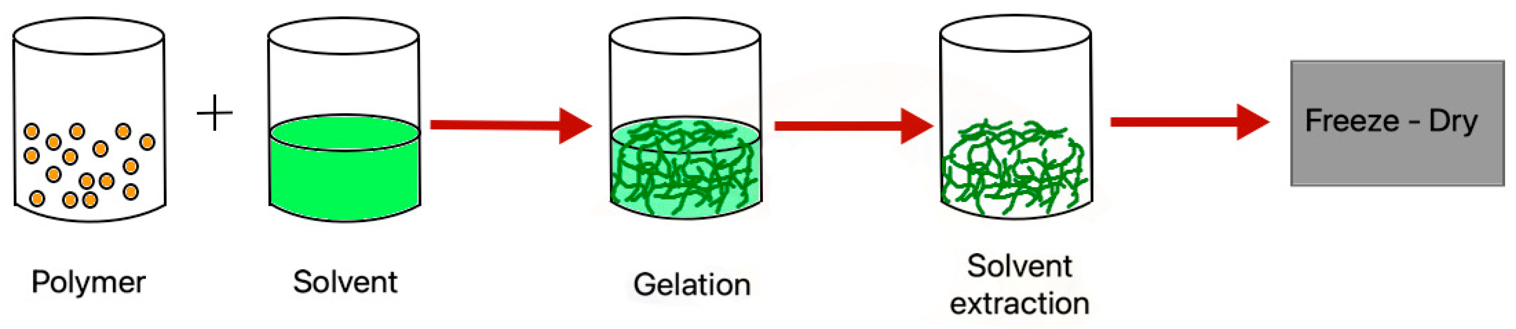 Surgeries 02 00005 g002