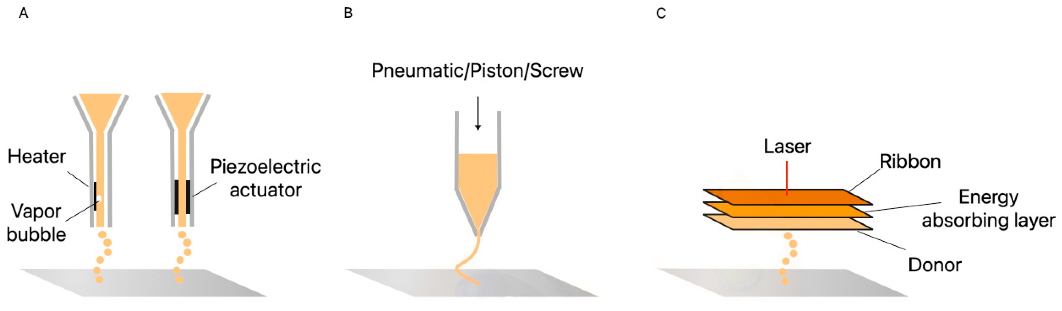 Surgeries 02 00005 g003