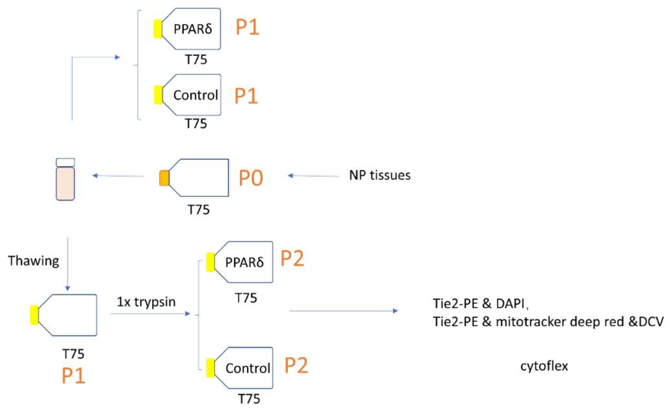 Surgeries 02 00008 g001