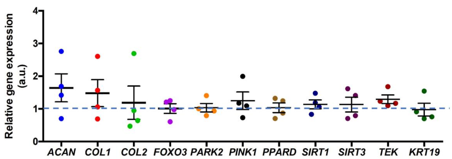 Surgeries 02 00008 g004