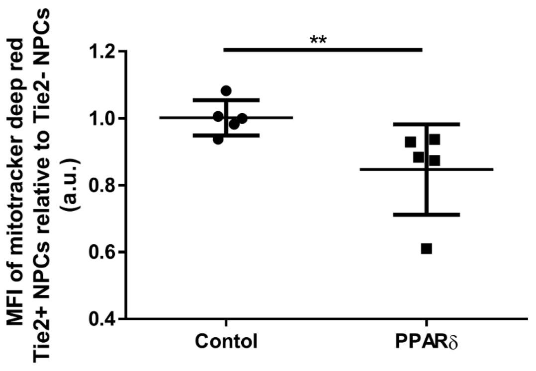 Surgeries 02 00008 g005