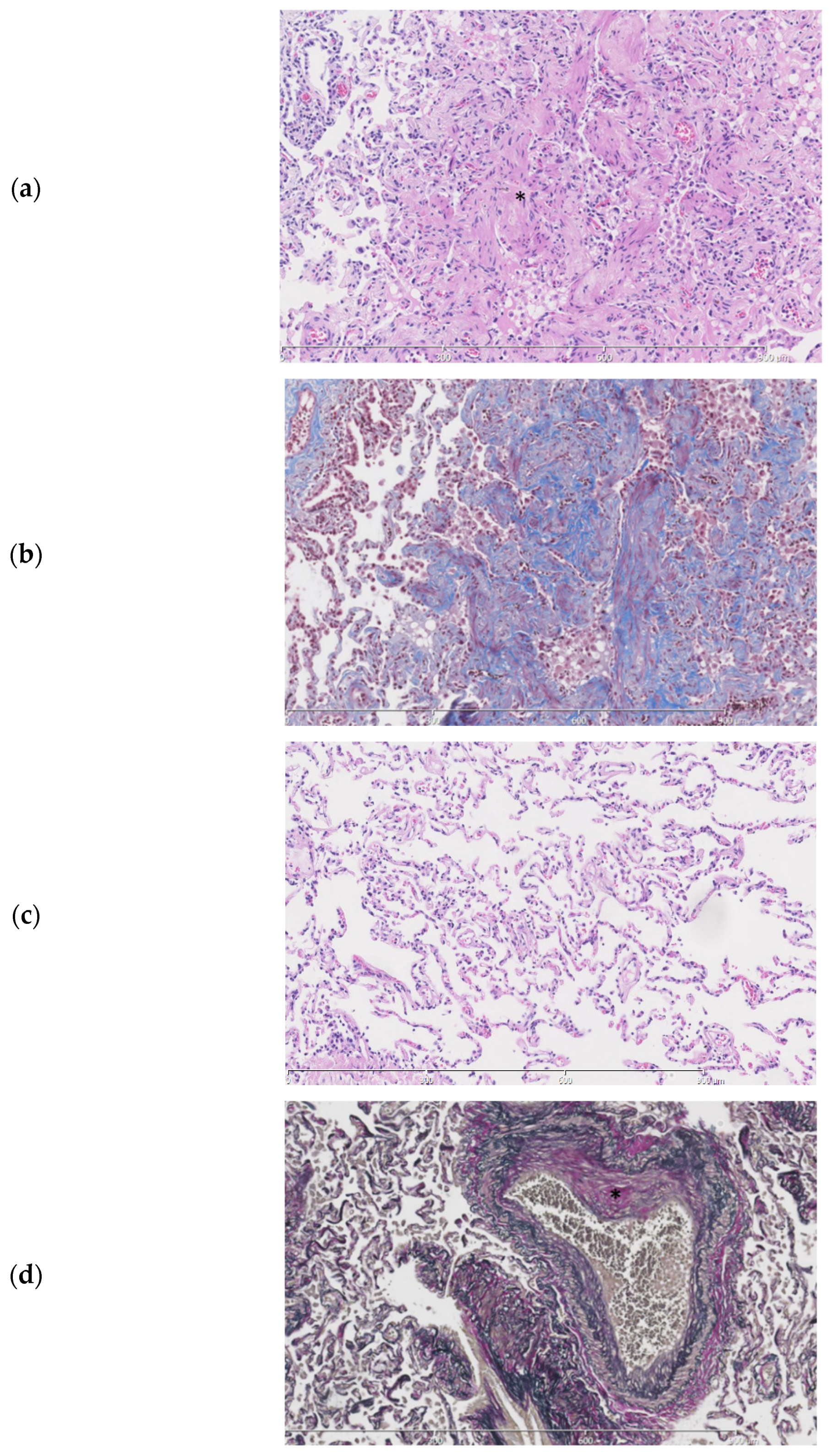 Surgeries 02 00020 g004