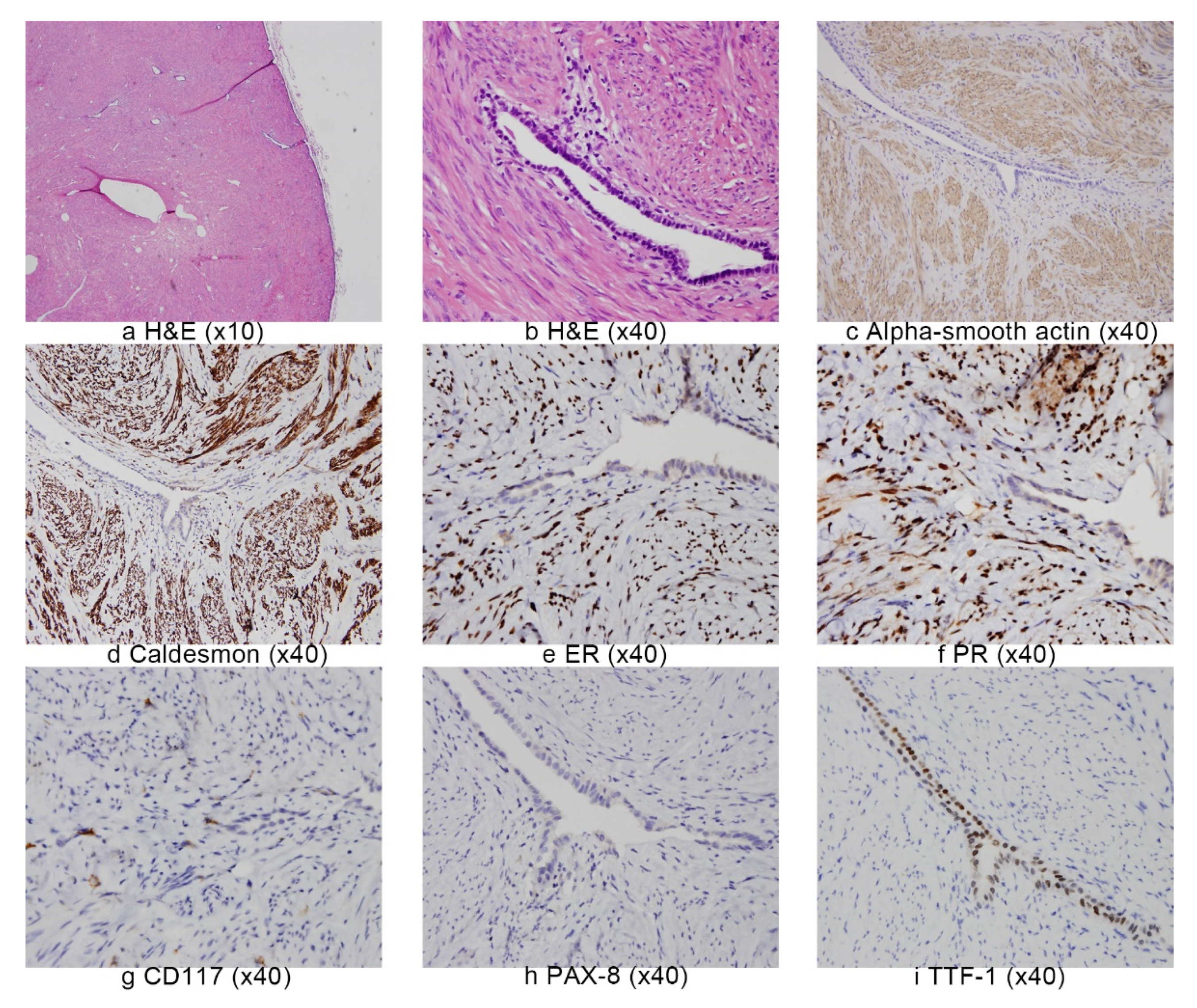 Surgeries 02 00023 g003