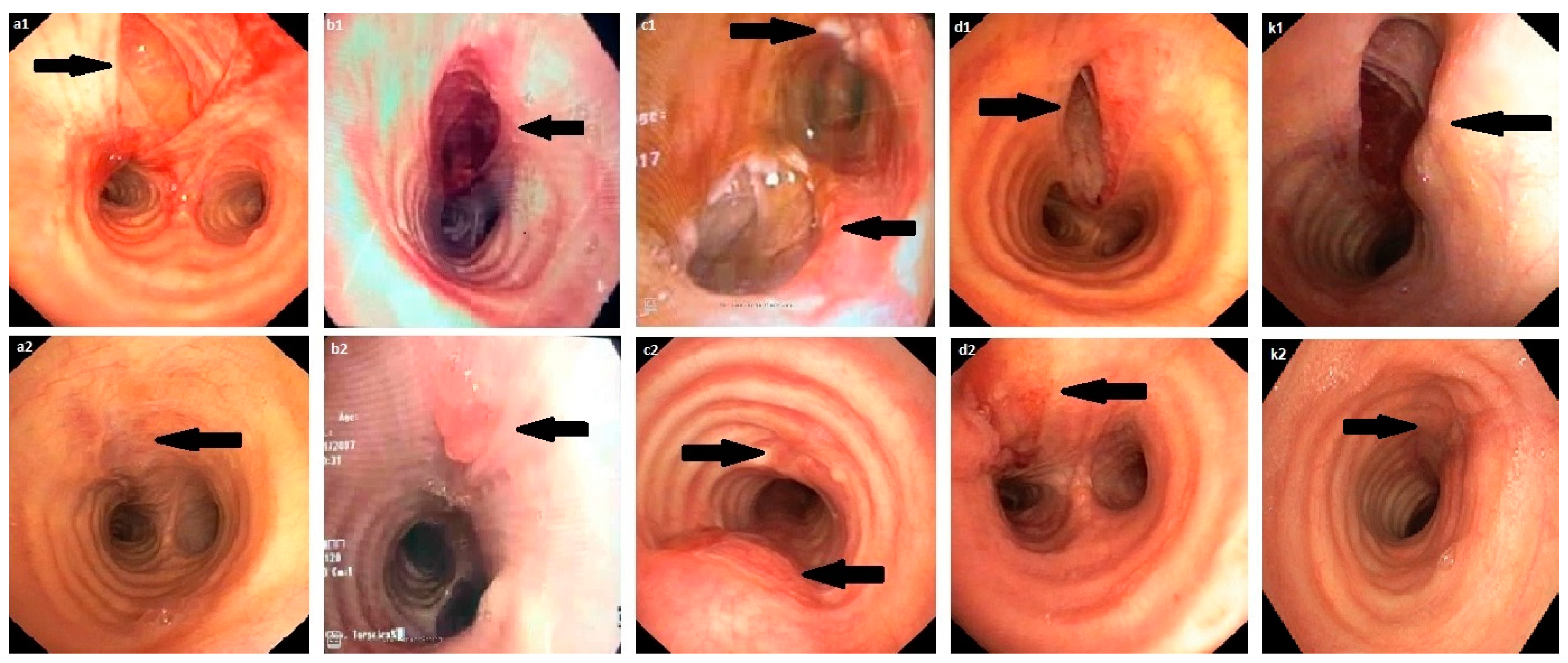 Surgeries 02 00024 g001