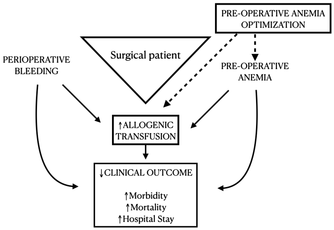 Surgeries 02 00027 g002
