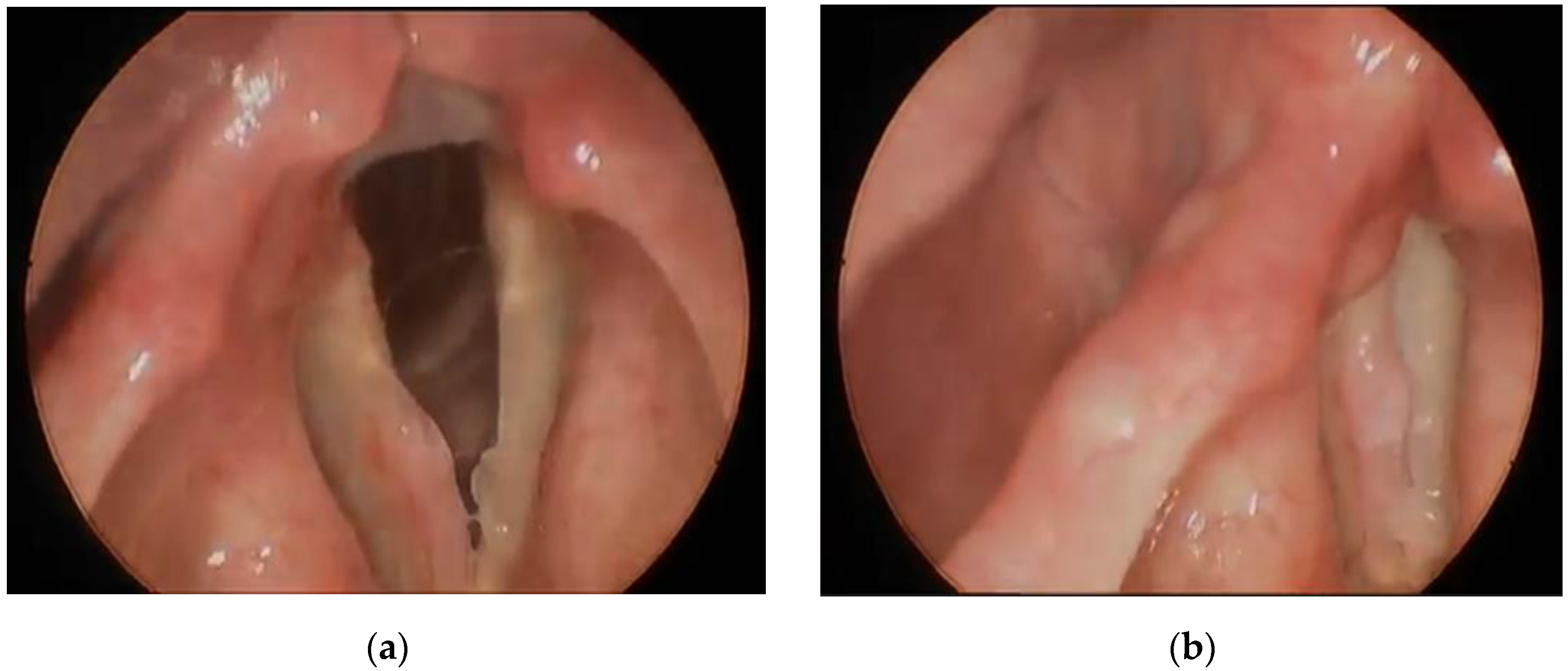 Surgeries 02 00038 g001