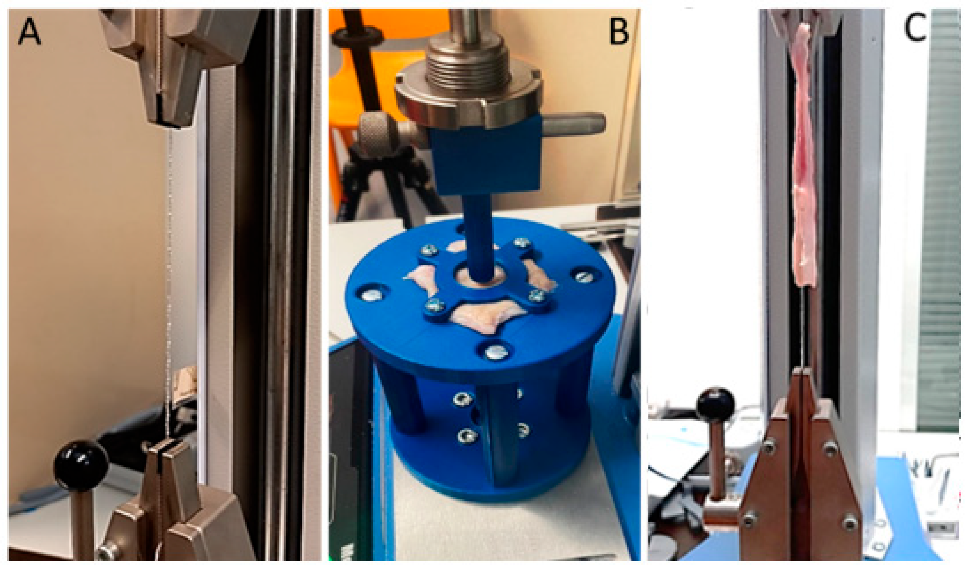 Surgeries 03 00012 g001